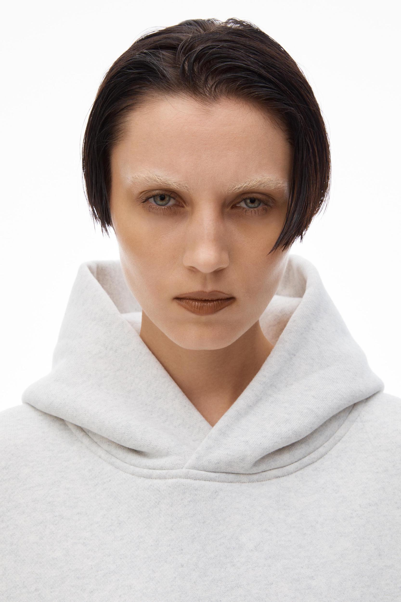 Unisex Hoodie In Dense Fleece Product Image