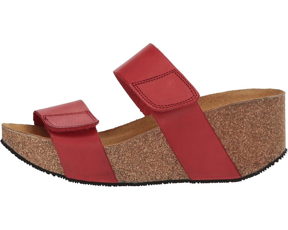 Lily 2 Product Image