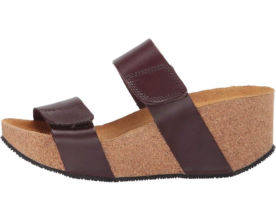 Lily 2 Product Image