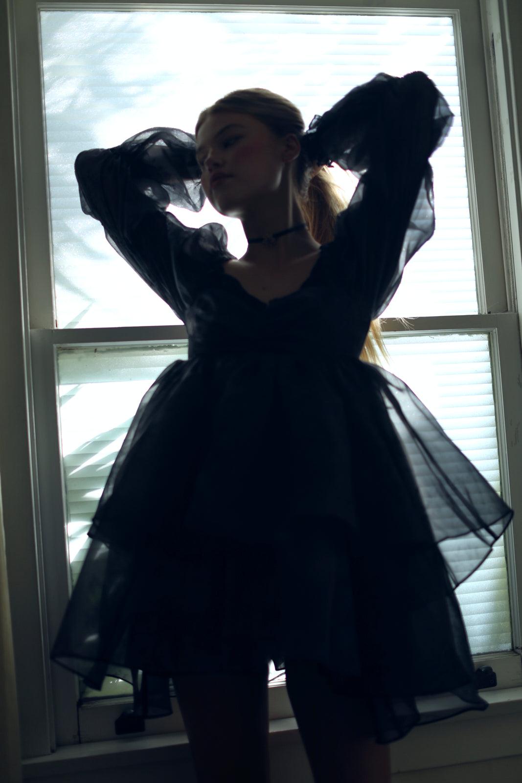 The Blackberry Moonlight Dress Product Image