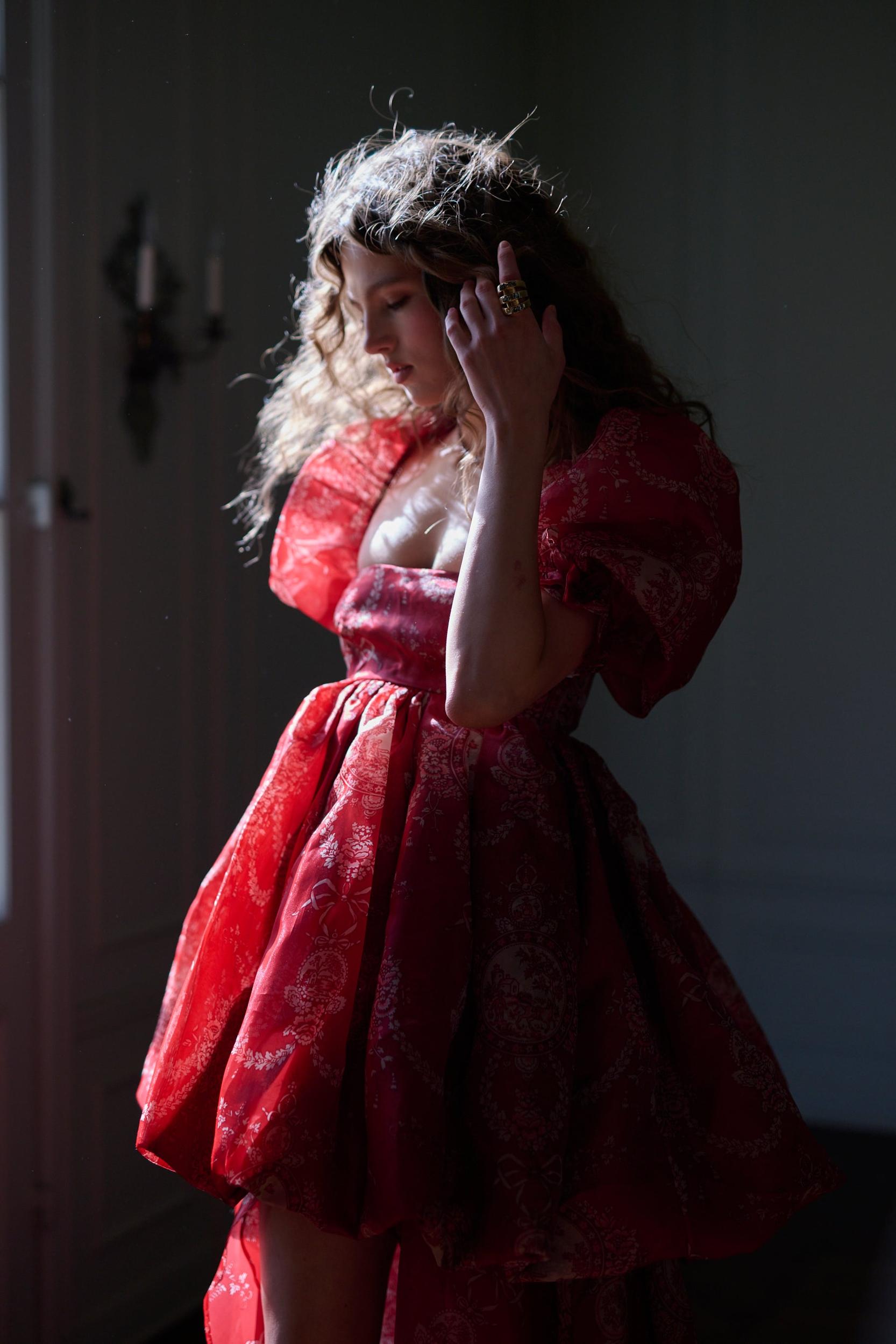 The Ornament Fairytale Gown Product Image