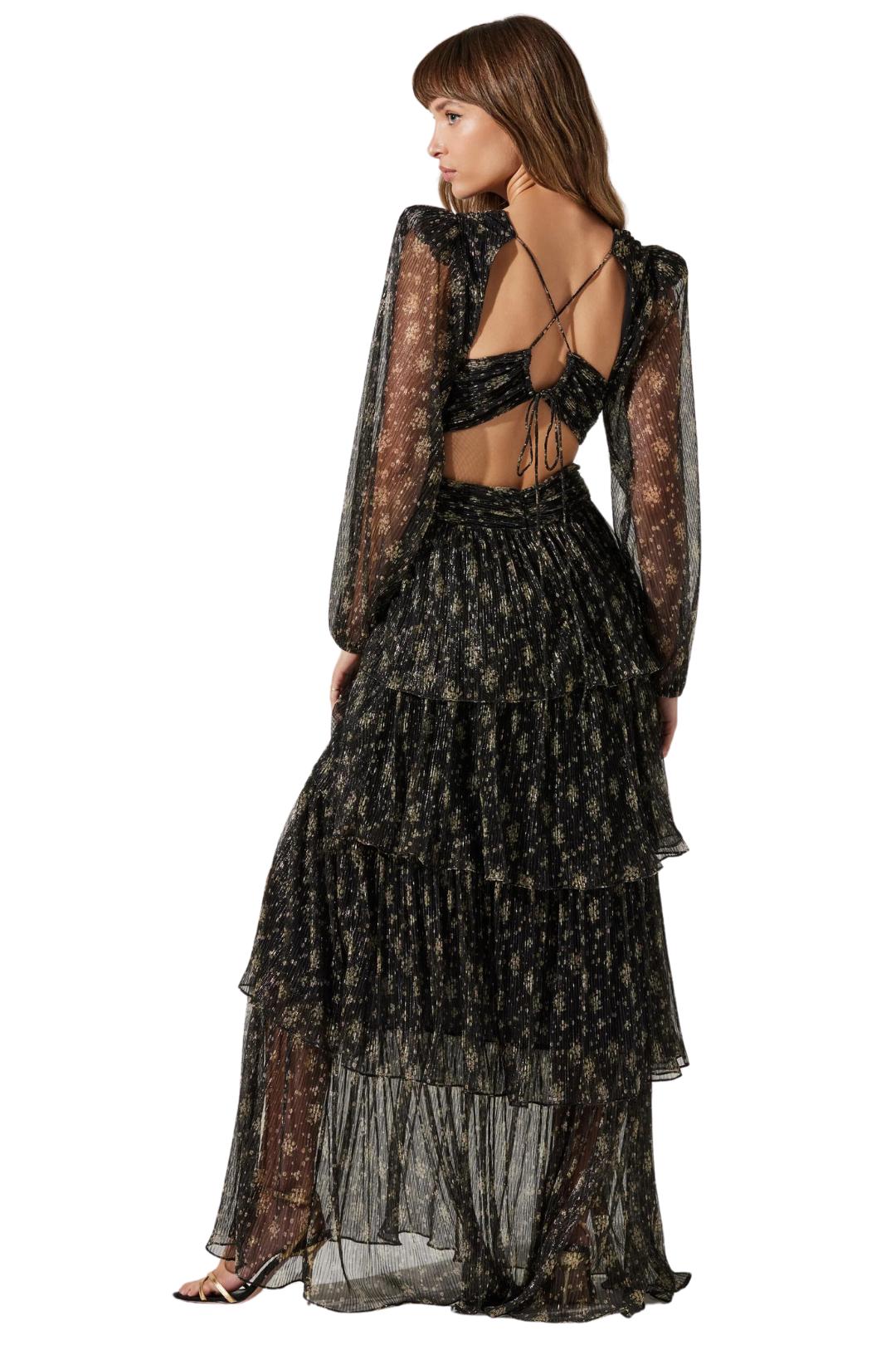 Anora Maxi Dress Product Image