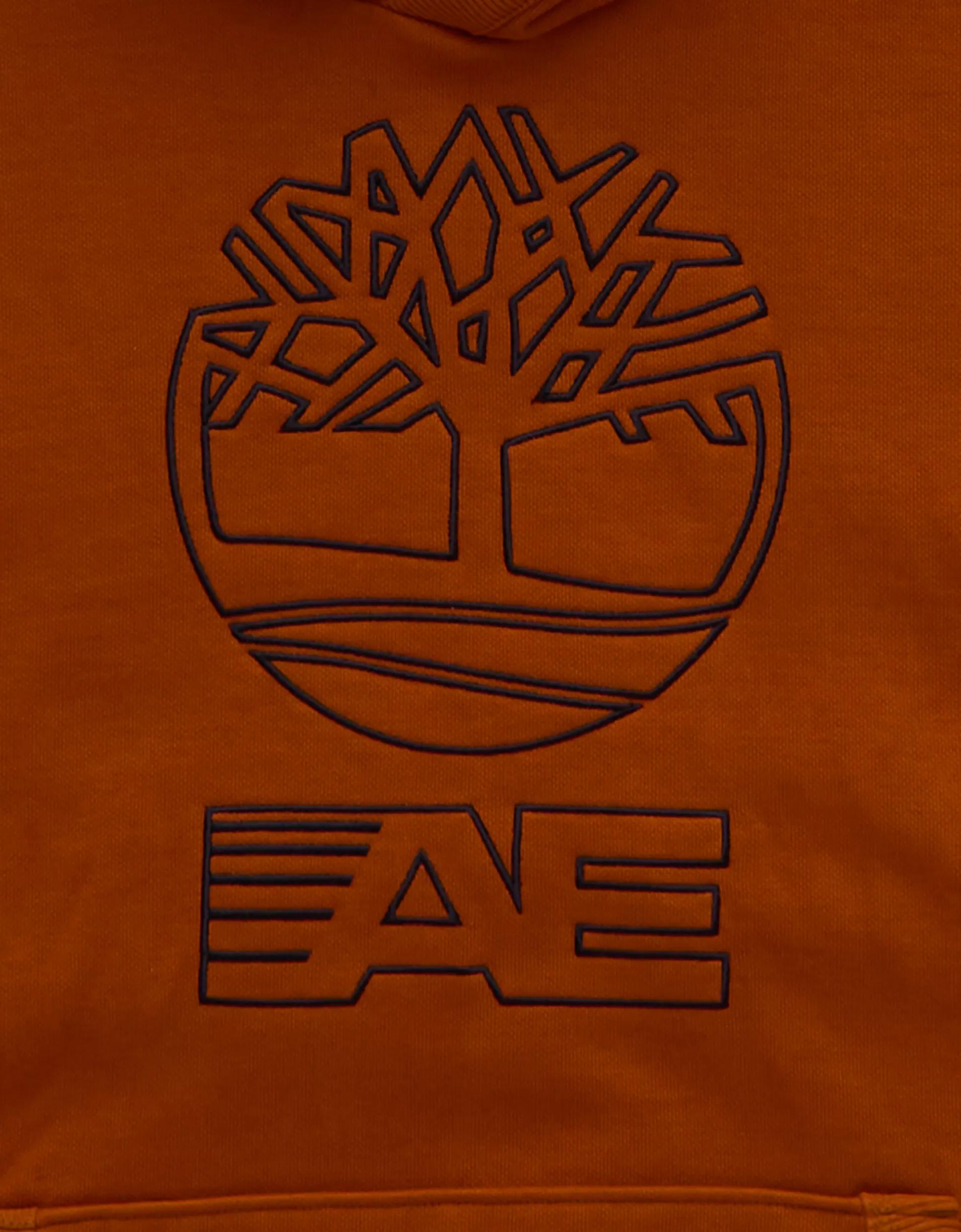 Timberland x AE Embroidered Cotton Hoodie Product Image