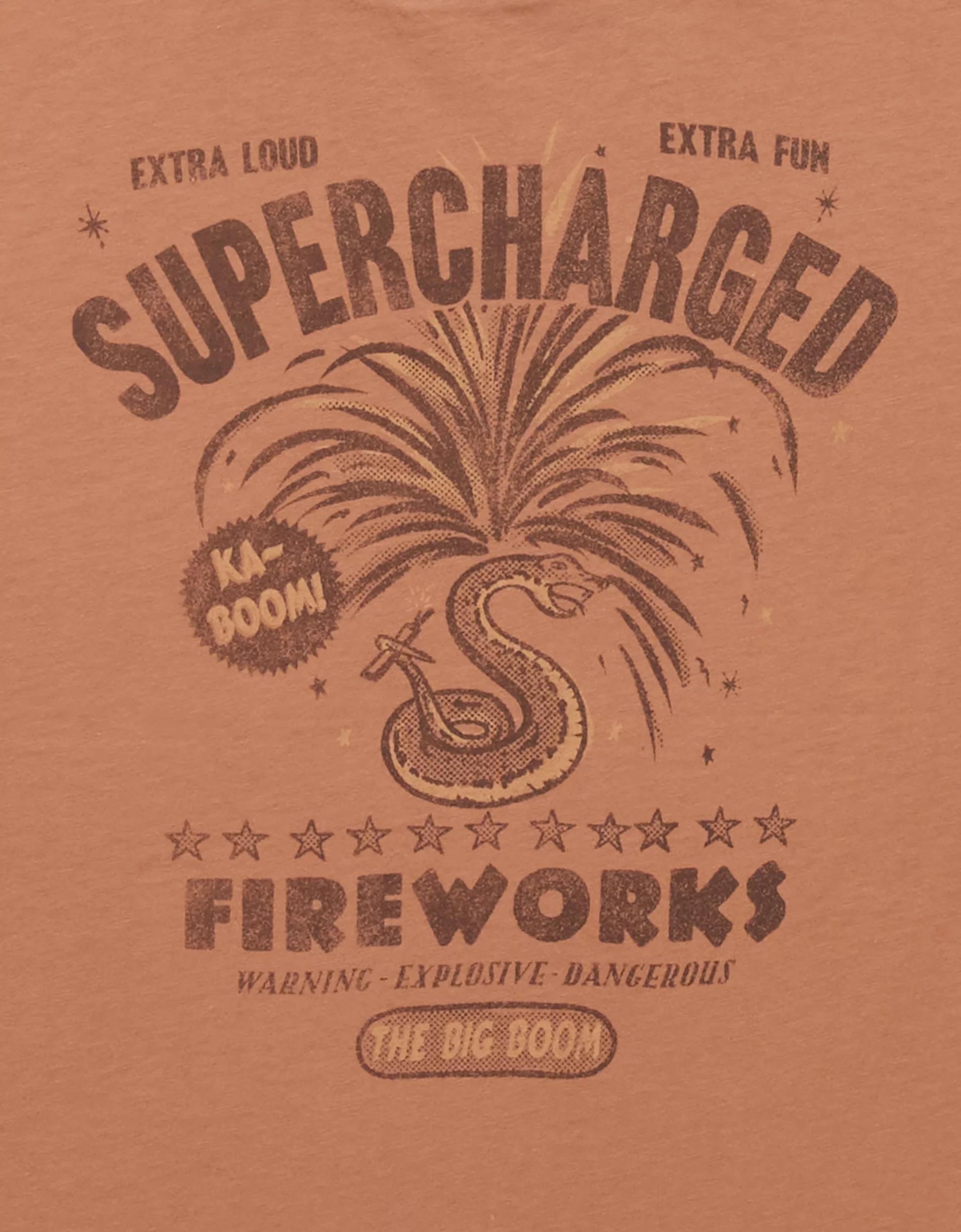 AE Classic Graphic T-Shirt Product Image