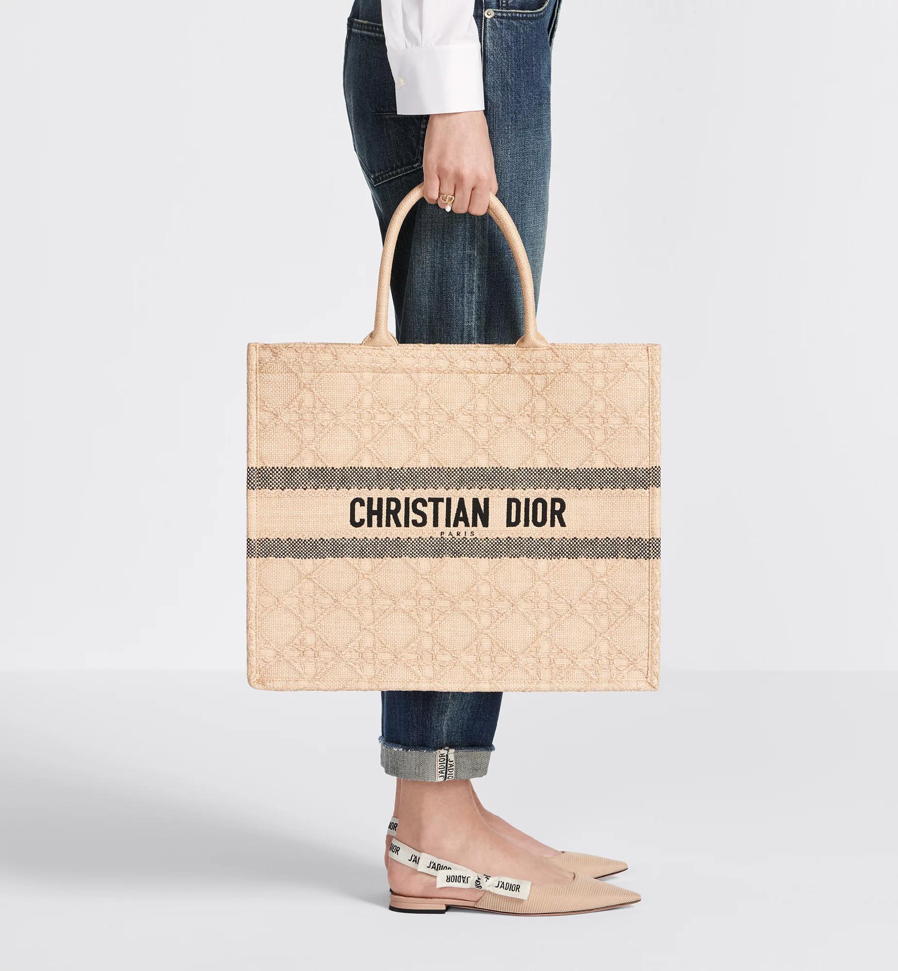 Large Dior Book Tote Product Image