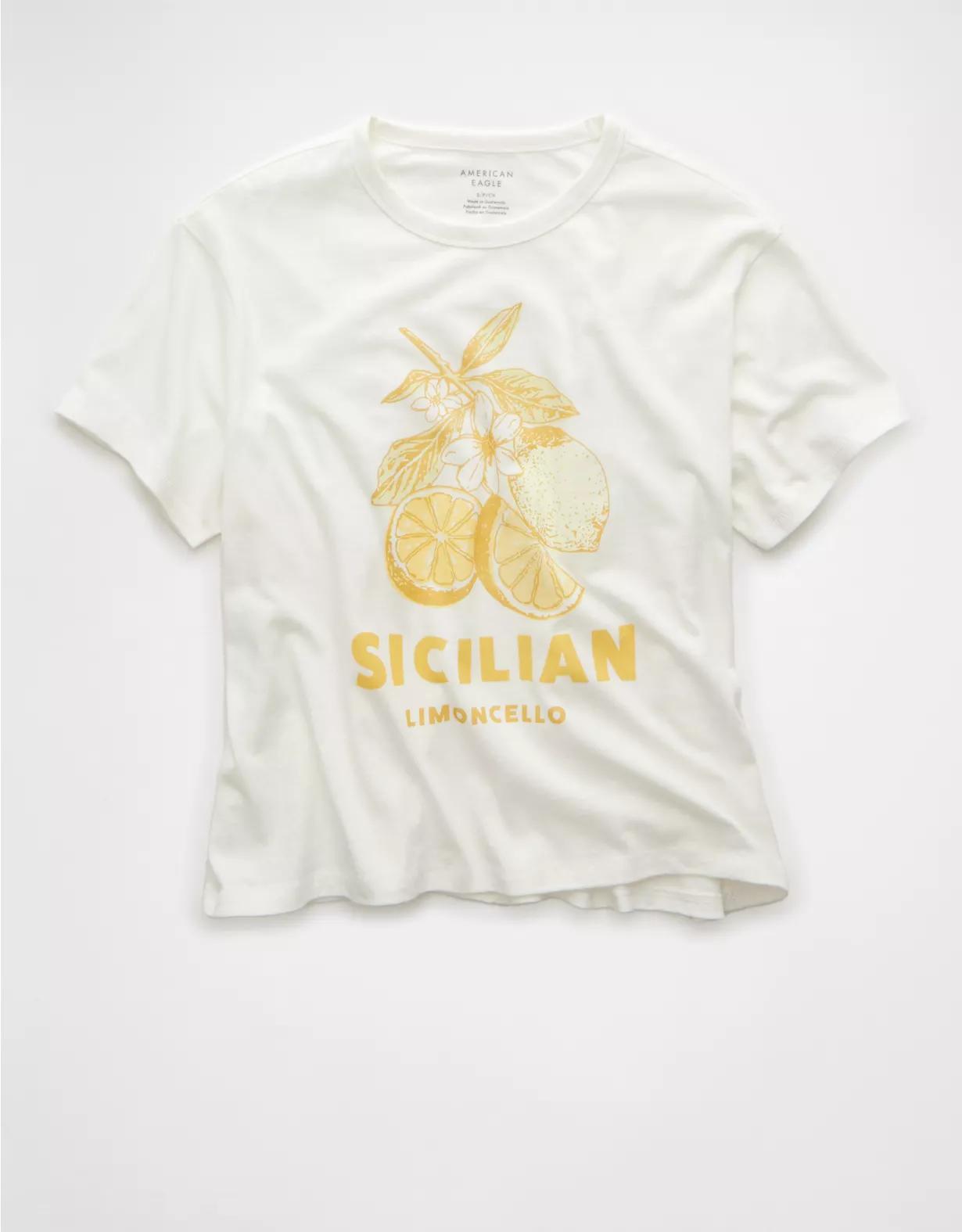 AE Ex-Boyfriend Destination Graphic T-Shirt Product Image