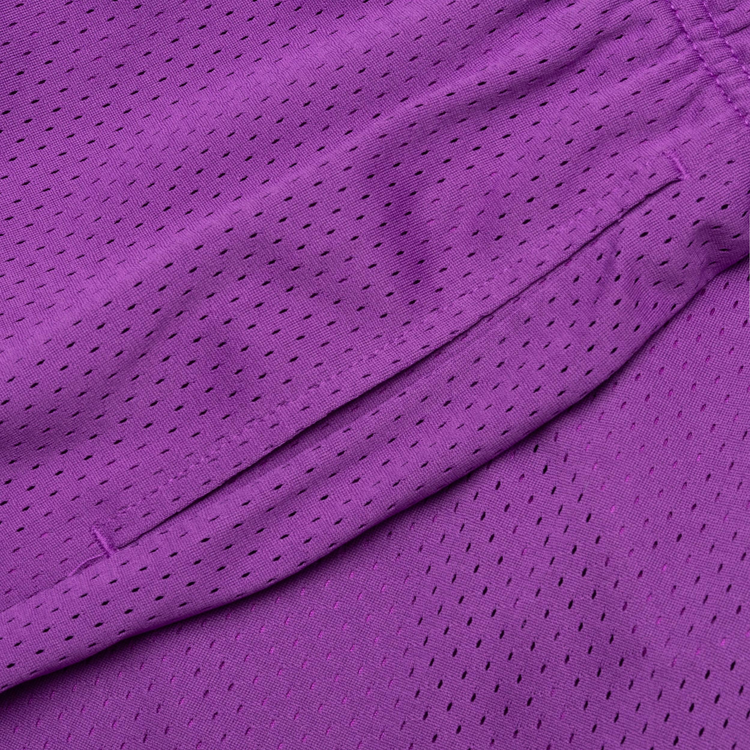 West Mesh Shorts - Purple Male Product Image