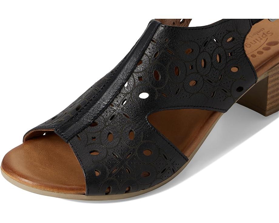 Spring Step Product Image