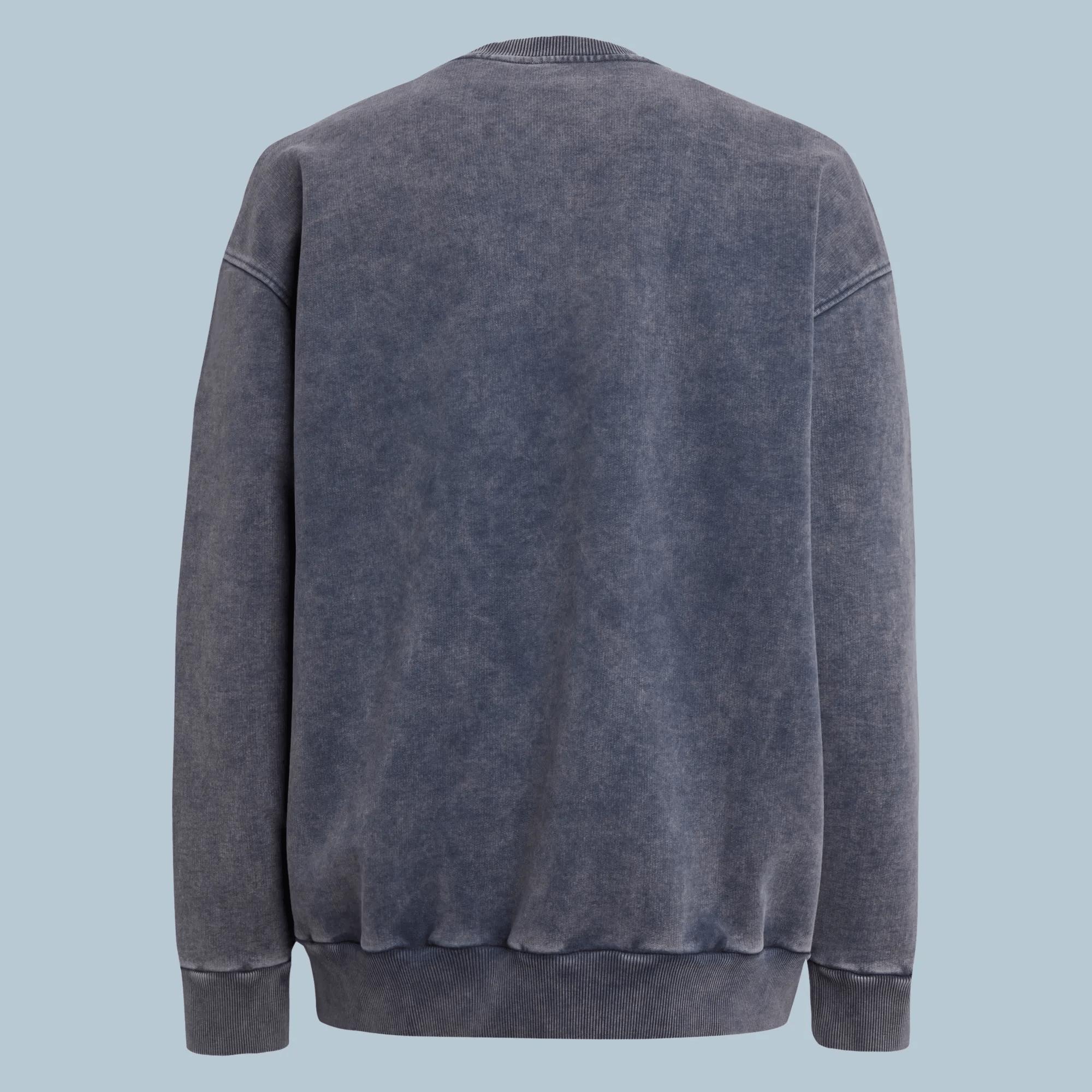 Botter x Reebok LTD Crewneck Sweater Male Product Image