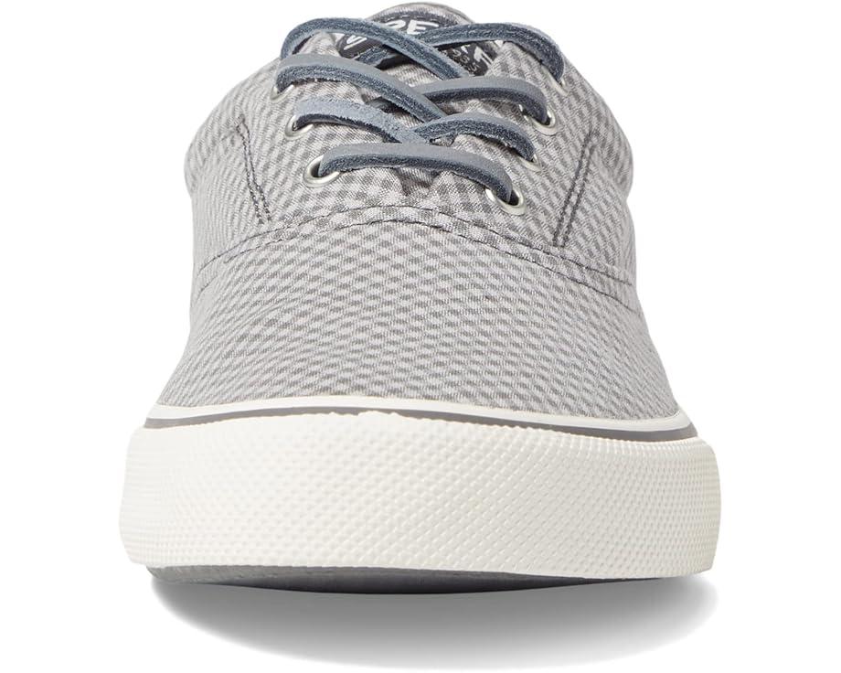 CVO Canvas Product Image