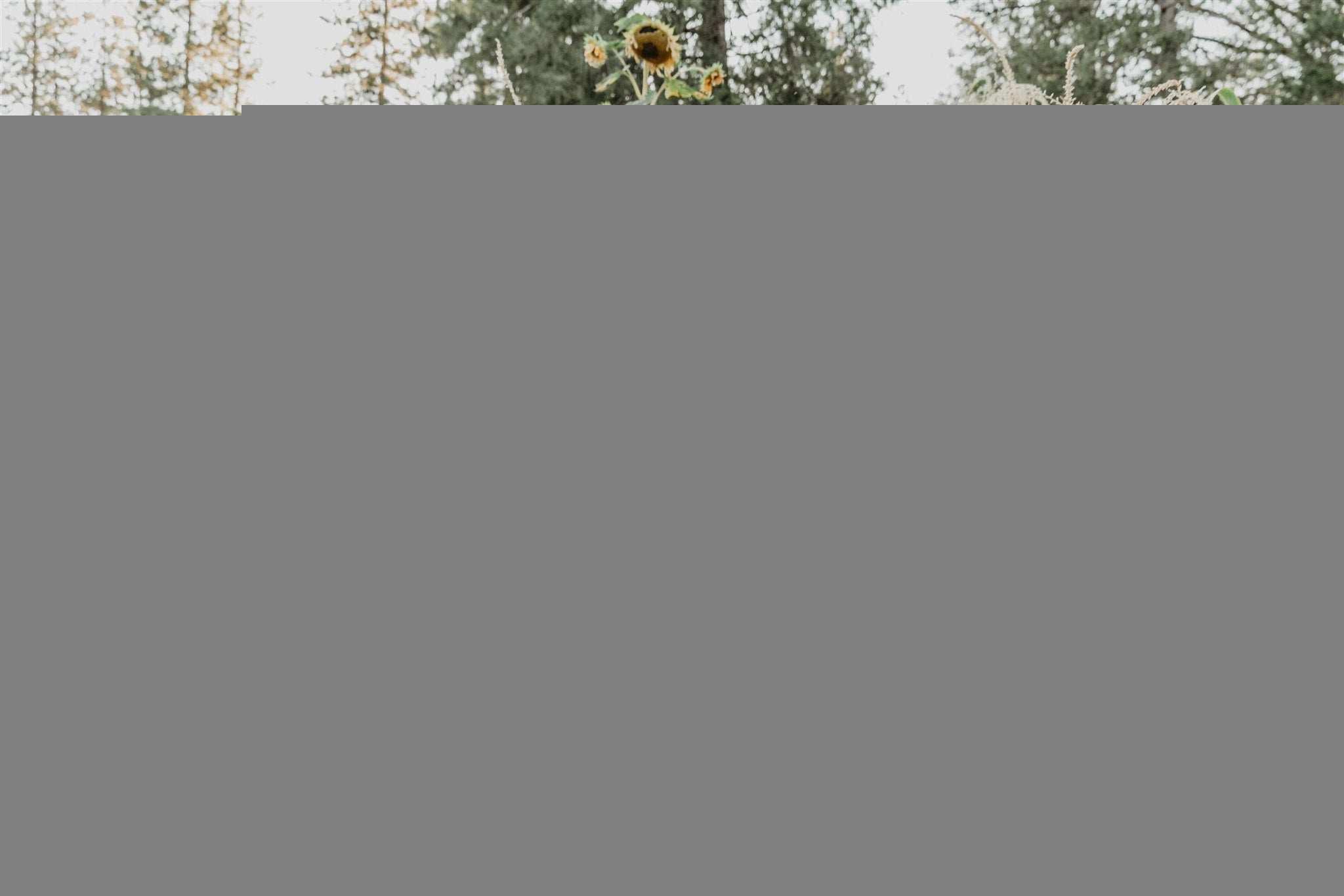 Jane Jacket in Bronze Jaquard Product Image