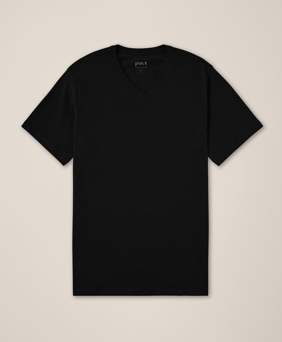 Mens Softspun V-Neck Tee L Product Image
