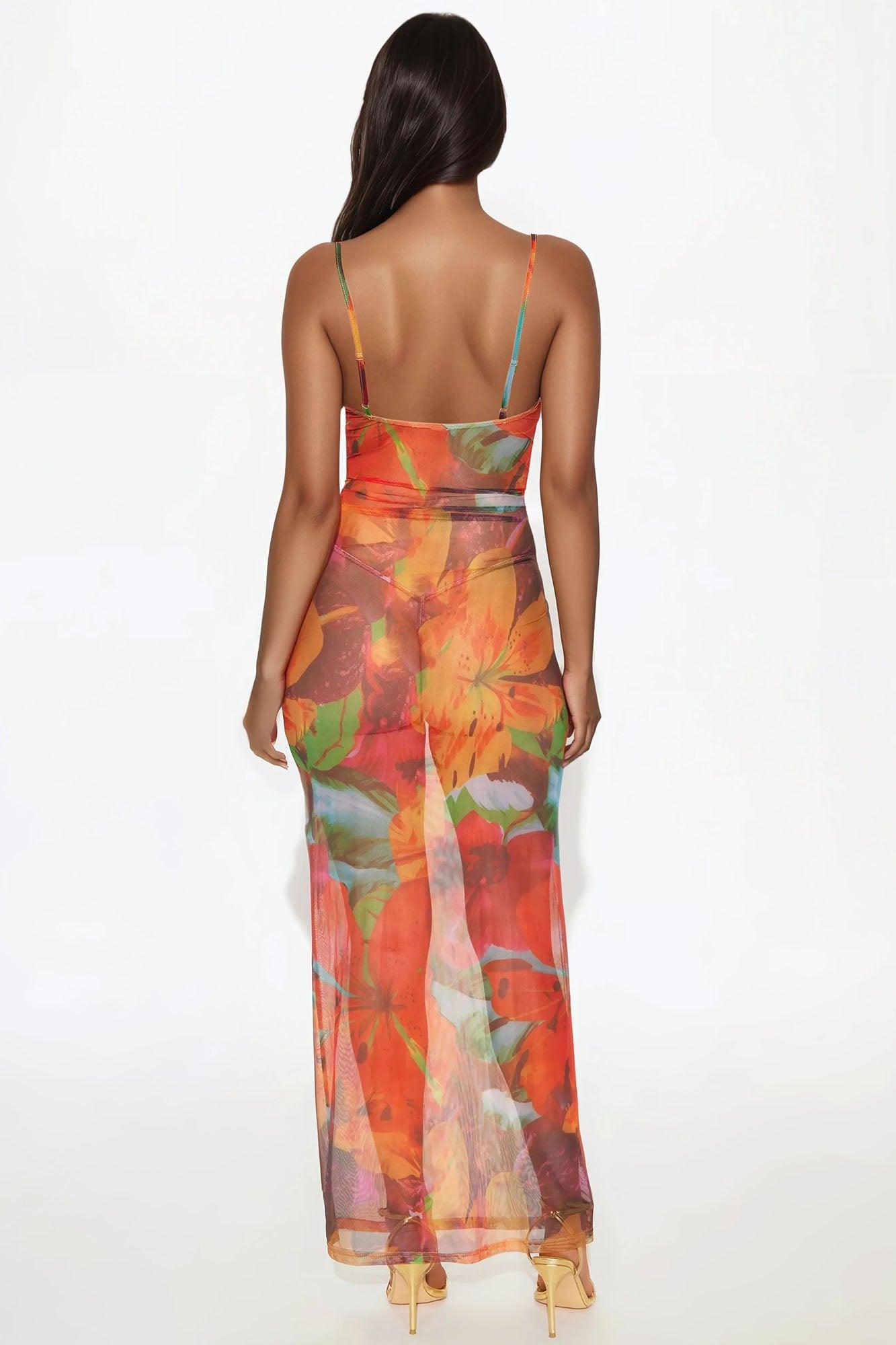 Have Some Fun Mesh Maxi Dress - Multi Color Product Image