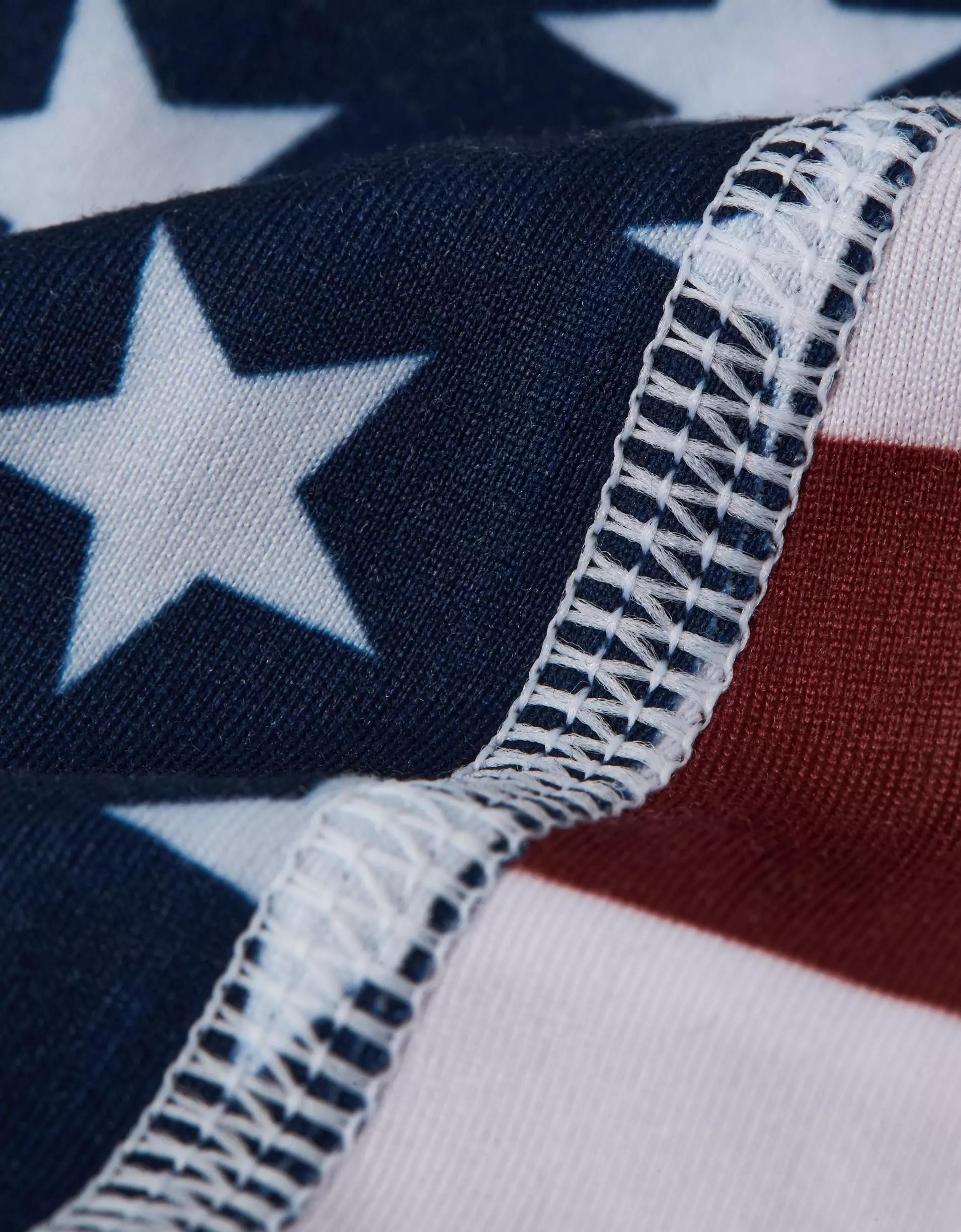 AEO Men's Mushrooms 6" Flex Boxer Brief Product Image