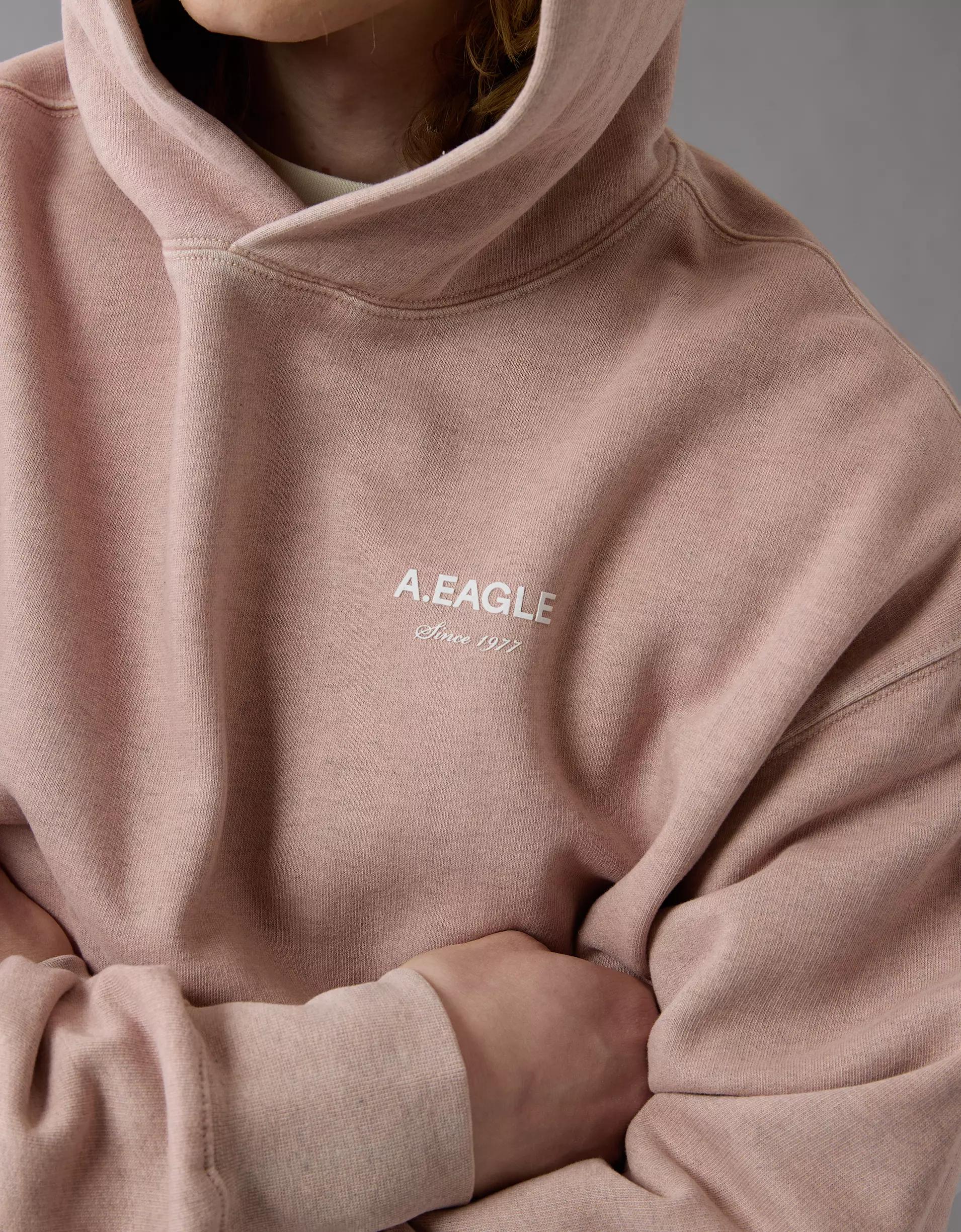 AE Laidback Luxe Heavyweight Logo Hoodie Product Image