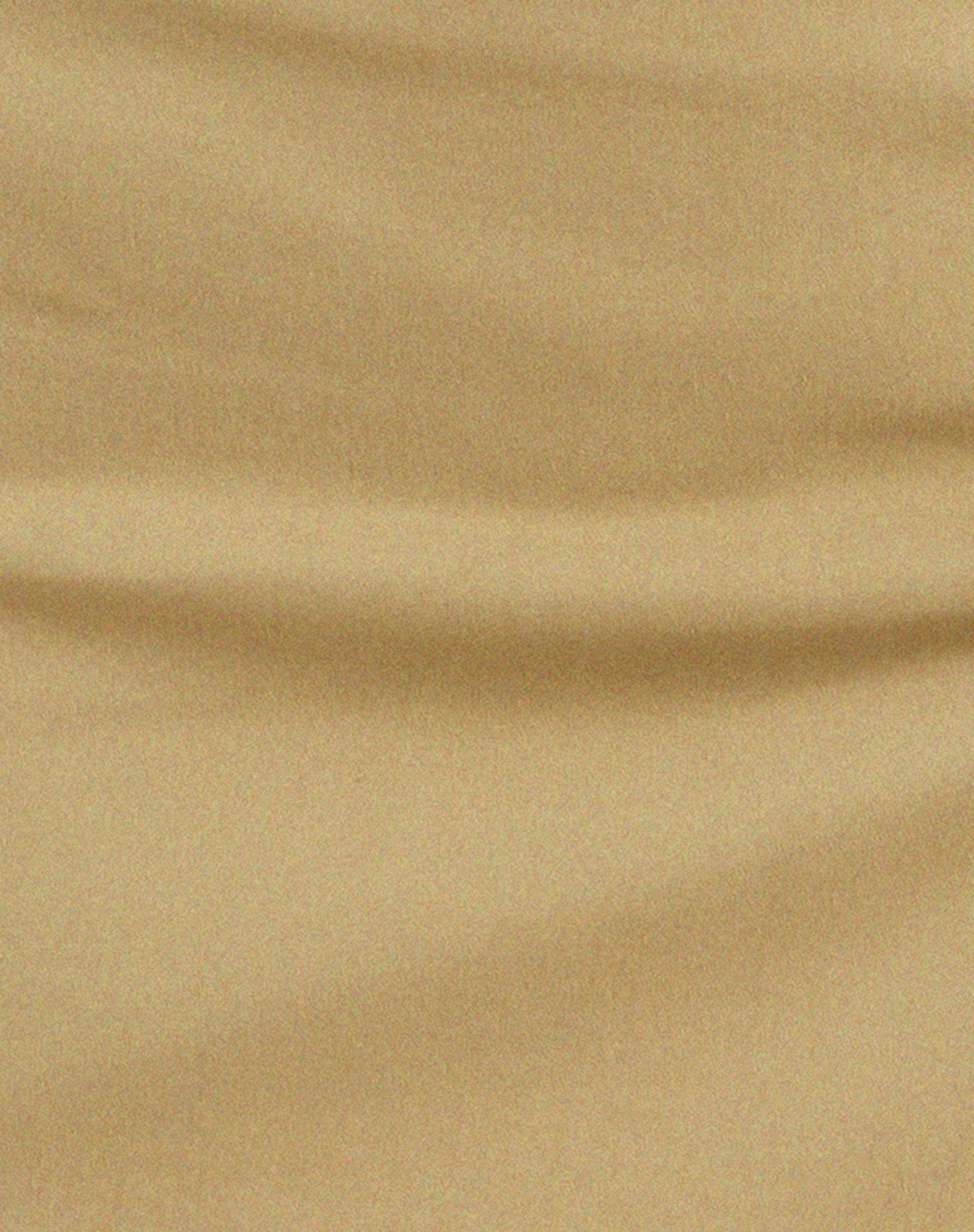 Iram Mini Skirt in Tan Product Image