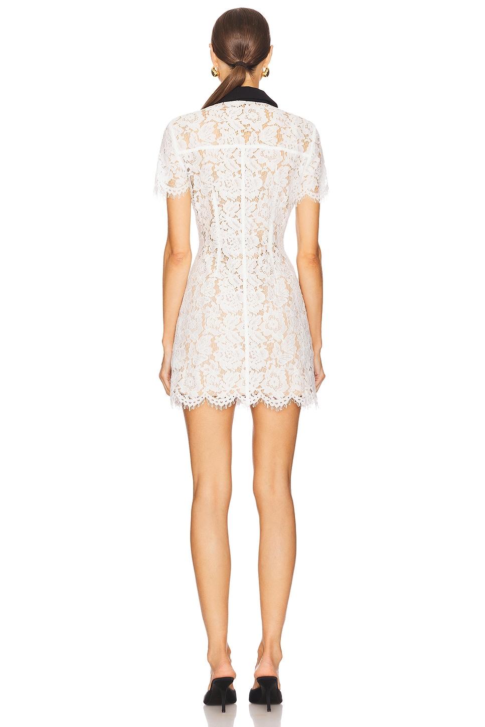 Lace Contrast Collar Mini Dress self-portrait Product Image