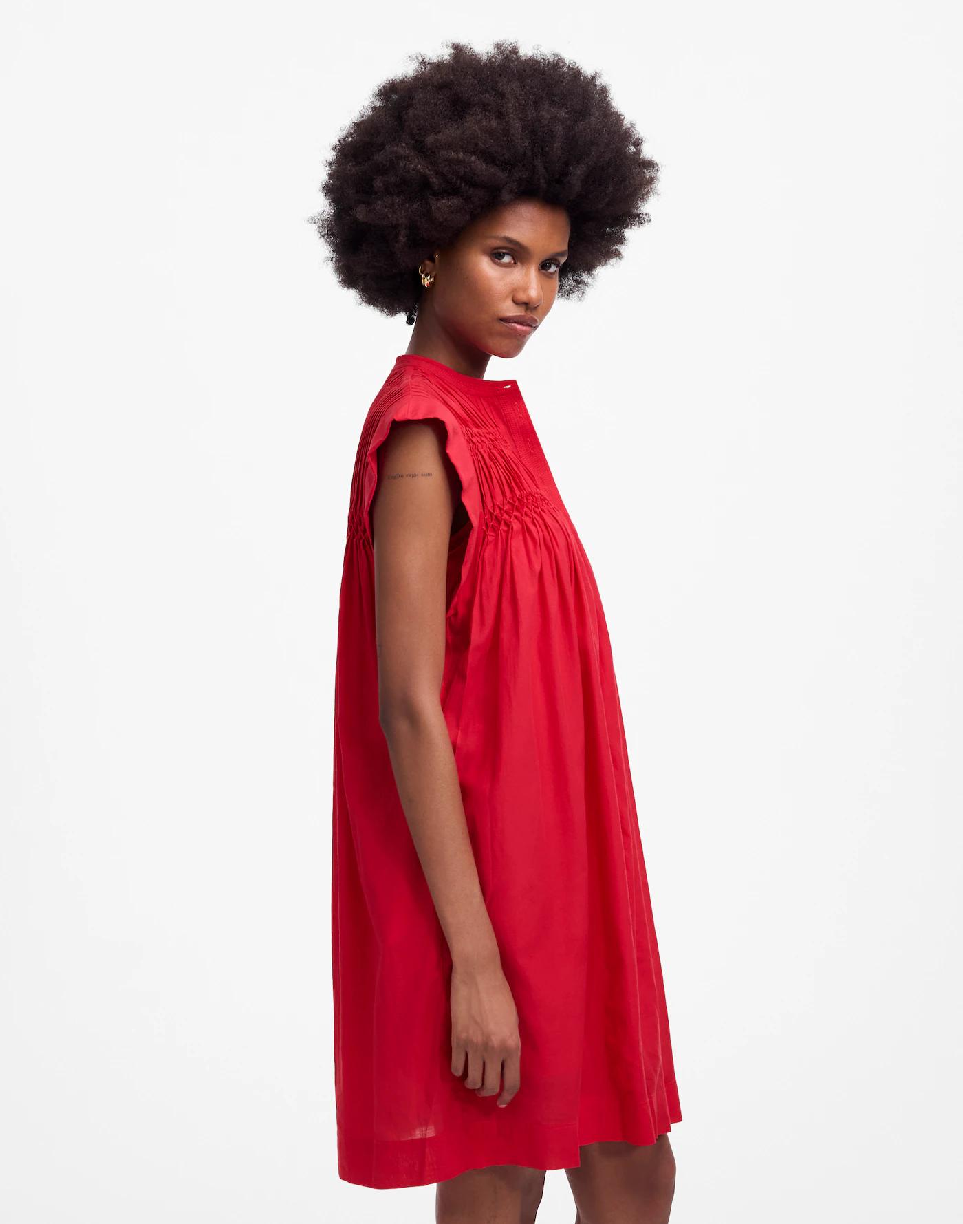 Embroidered Pleated Mini Dress Product Image