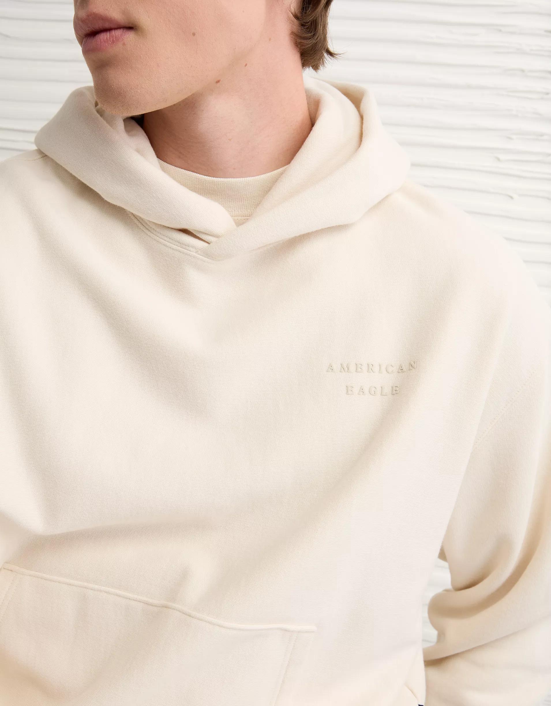 AE Laidback Luxe Heavyweight Graphic Hoodie Product Image