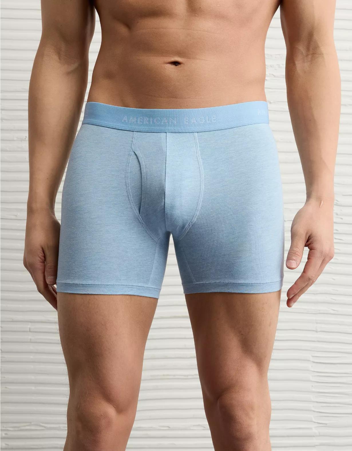 AEO Men's 4.5" Classic Boxer Brief Product Image