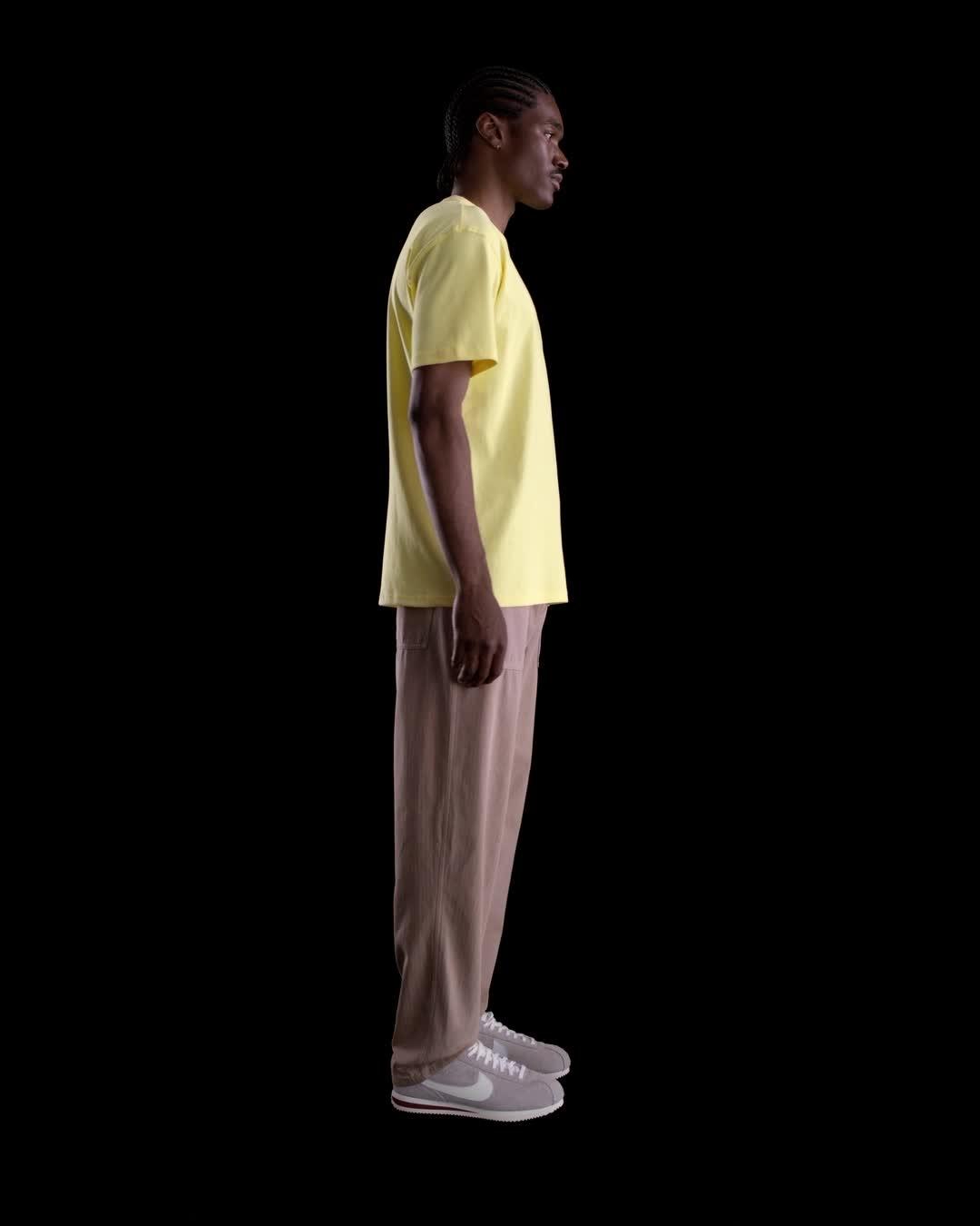 Mens Nike Sportswear Premium Essentials T-Shirt | HQ9240-722 Product Image