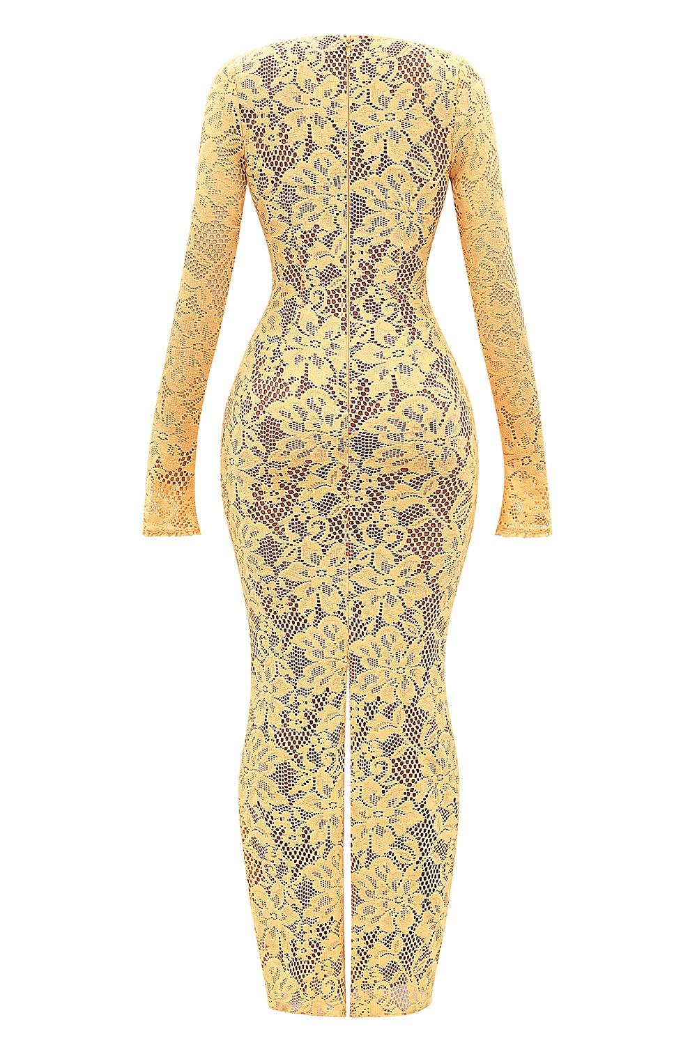 Indiana  apricot plunge lace maxi dress Product Image