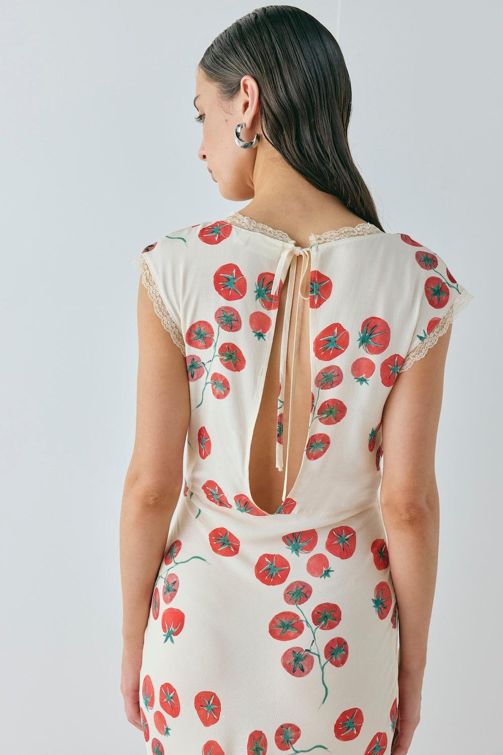 Vintage Lover Bias Cut Maxi Dress Roma Product Image