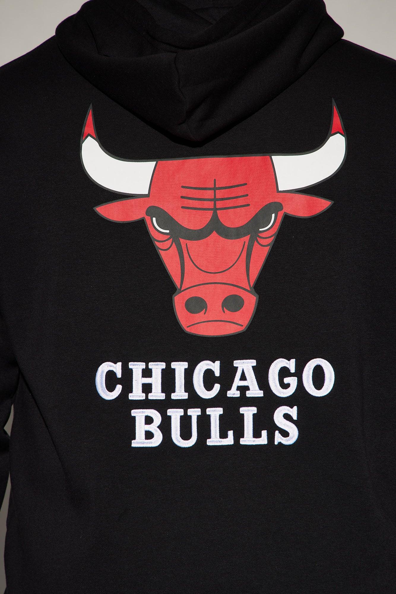 Bulls Campus Hoodie - Black Male Product Image