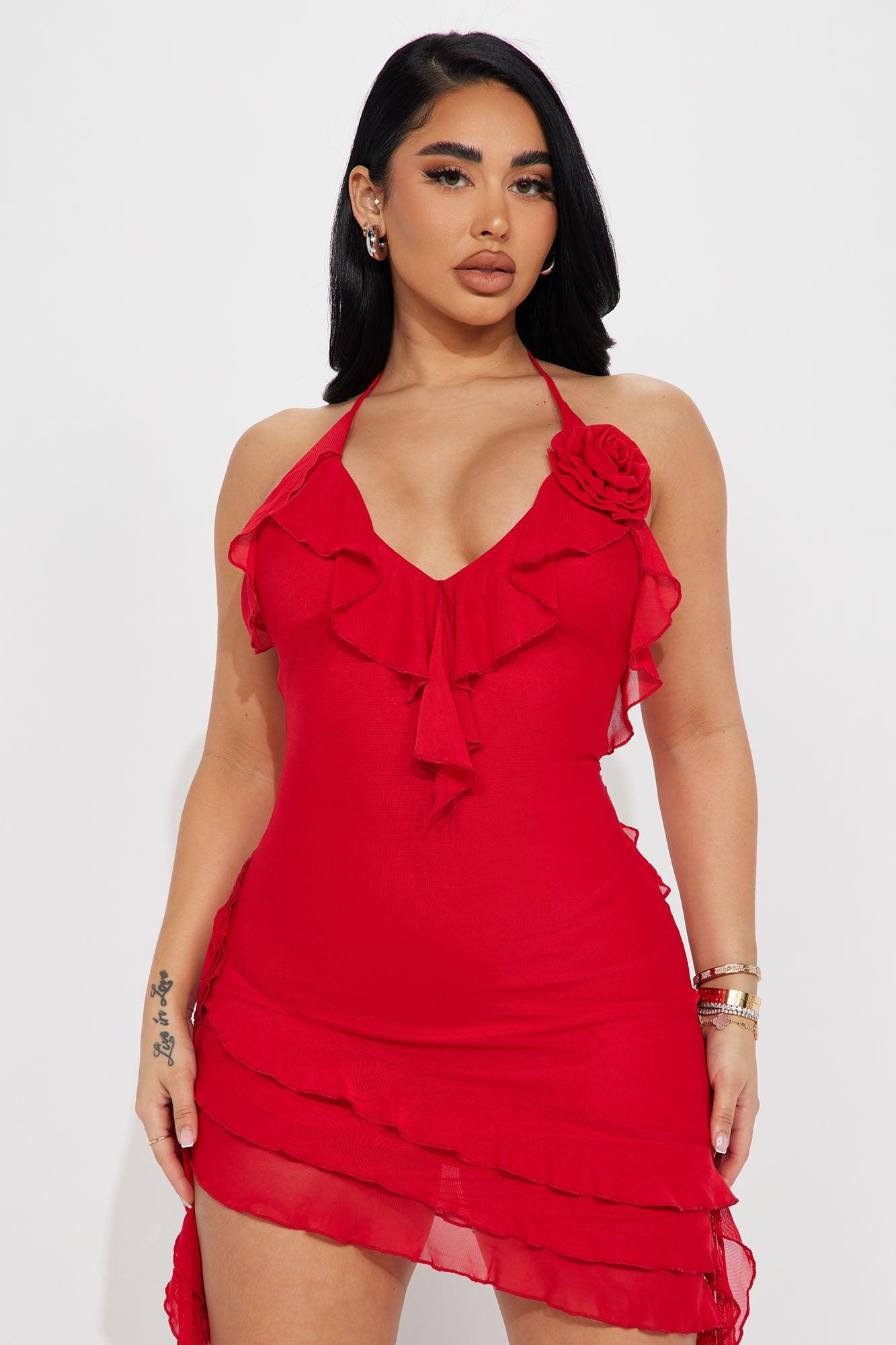 Paris Life Mesh Mini Dress - Red Product Image