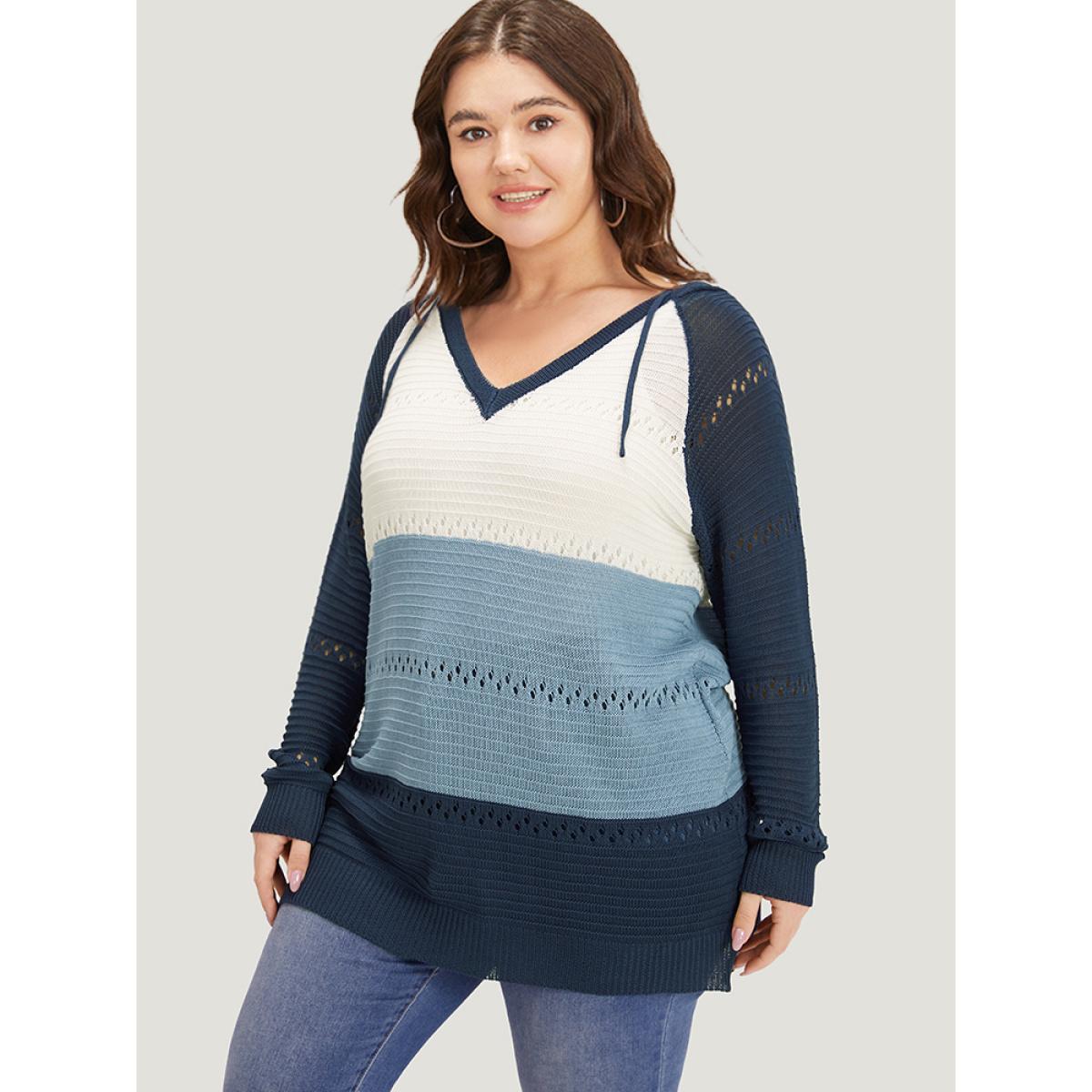 Plus Size Colorblock Hooded Raglan Sleeve Eyelet Pullover Multicolor Women Casual Loose Long Sleeve Dailywear Pullovers BloomChic 14-16/1X Product Image