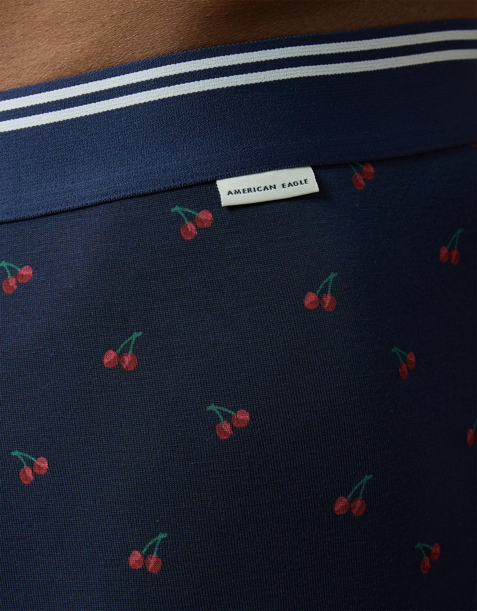 AEO Men's Striped 6" Ultra Soft Boxer Brief Product Image