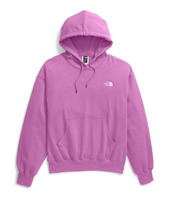 The North Face Evolution Vintage Oversize Hoodie Product Image