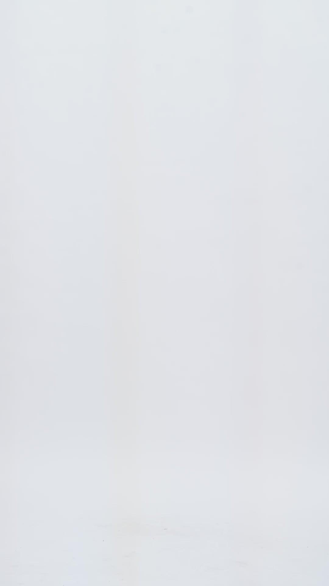 Standard Grand VPC sweatshirt (M) Male Product Image