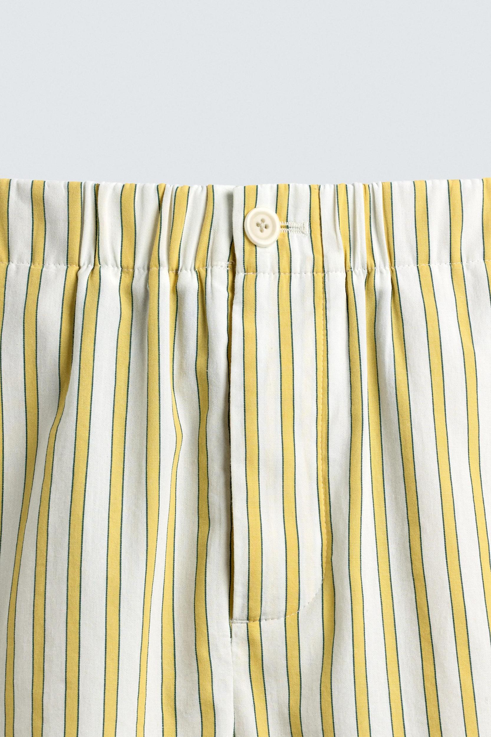 STRIPED EMBROIDERED SHORTS Product Image