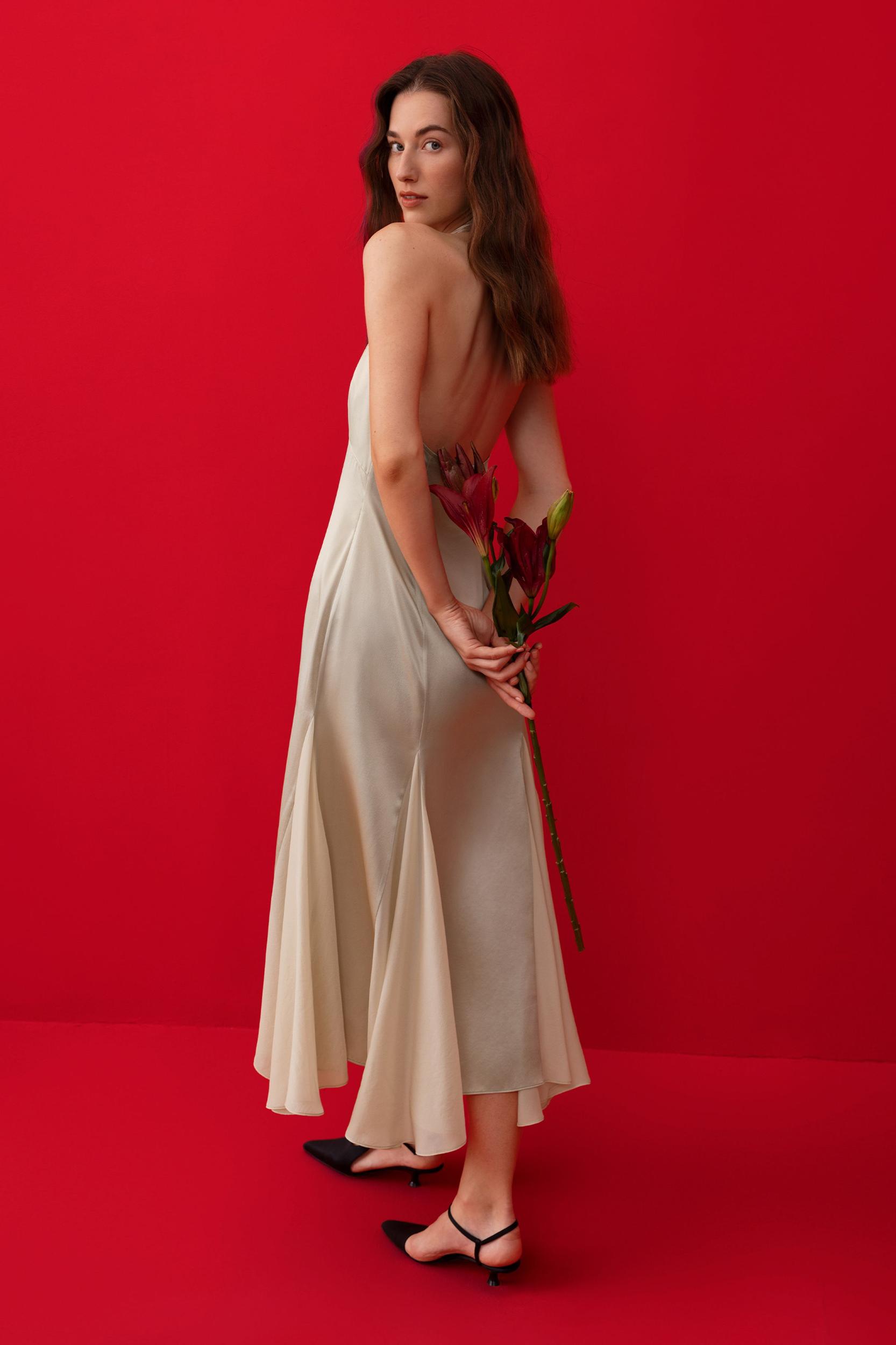 Aster Dress Product Image