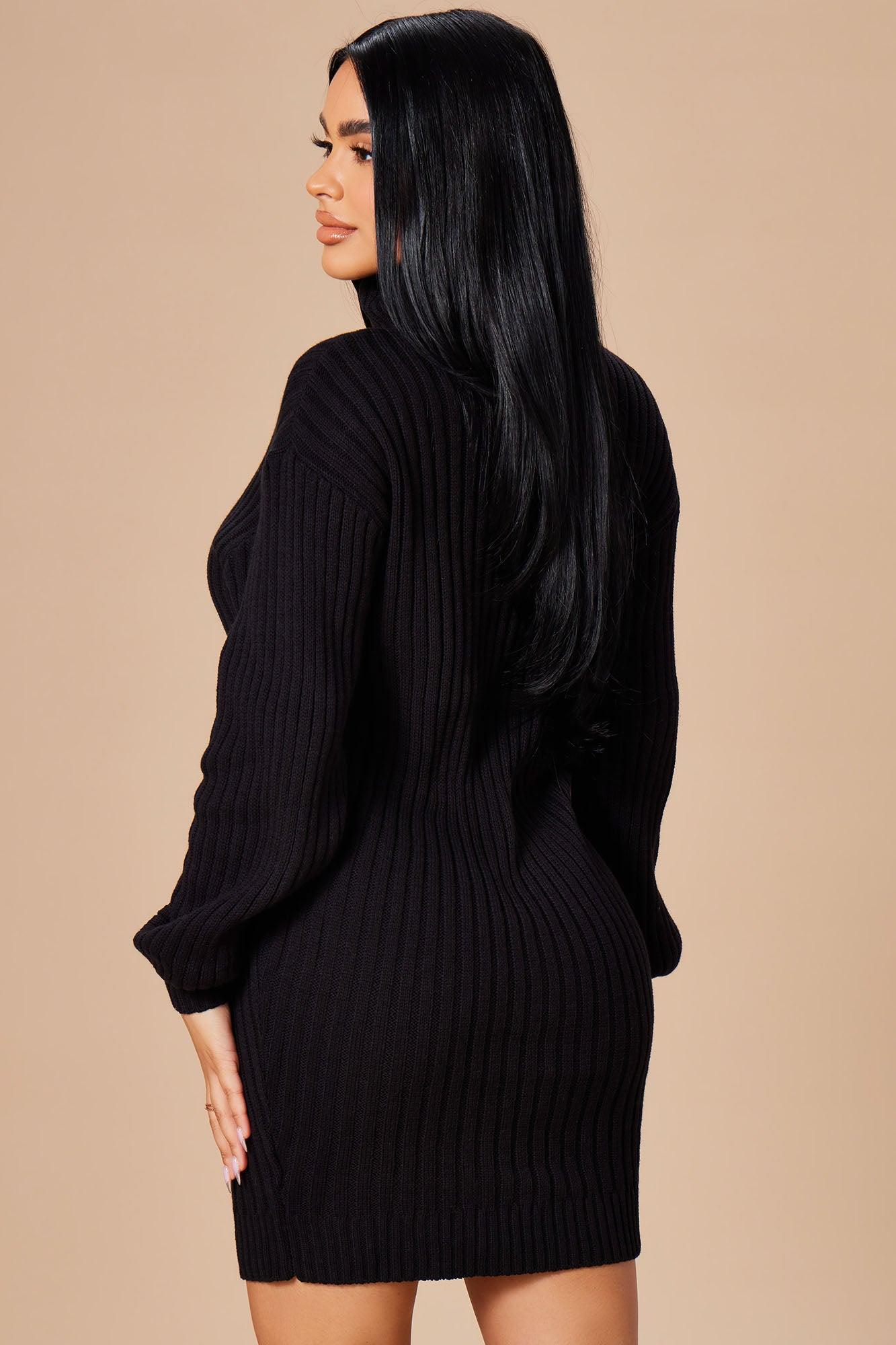 Too Cozy Turtle Neck Sweater Dress - Black Female Product Image