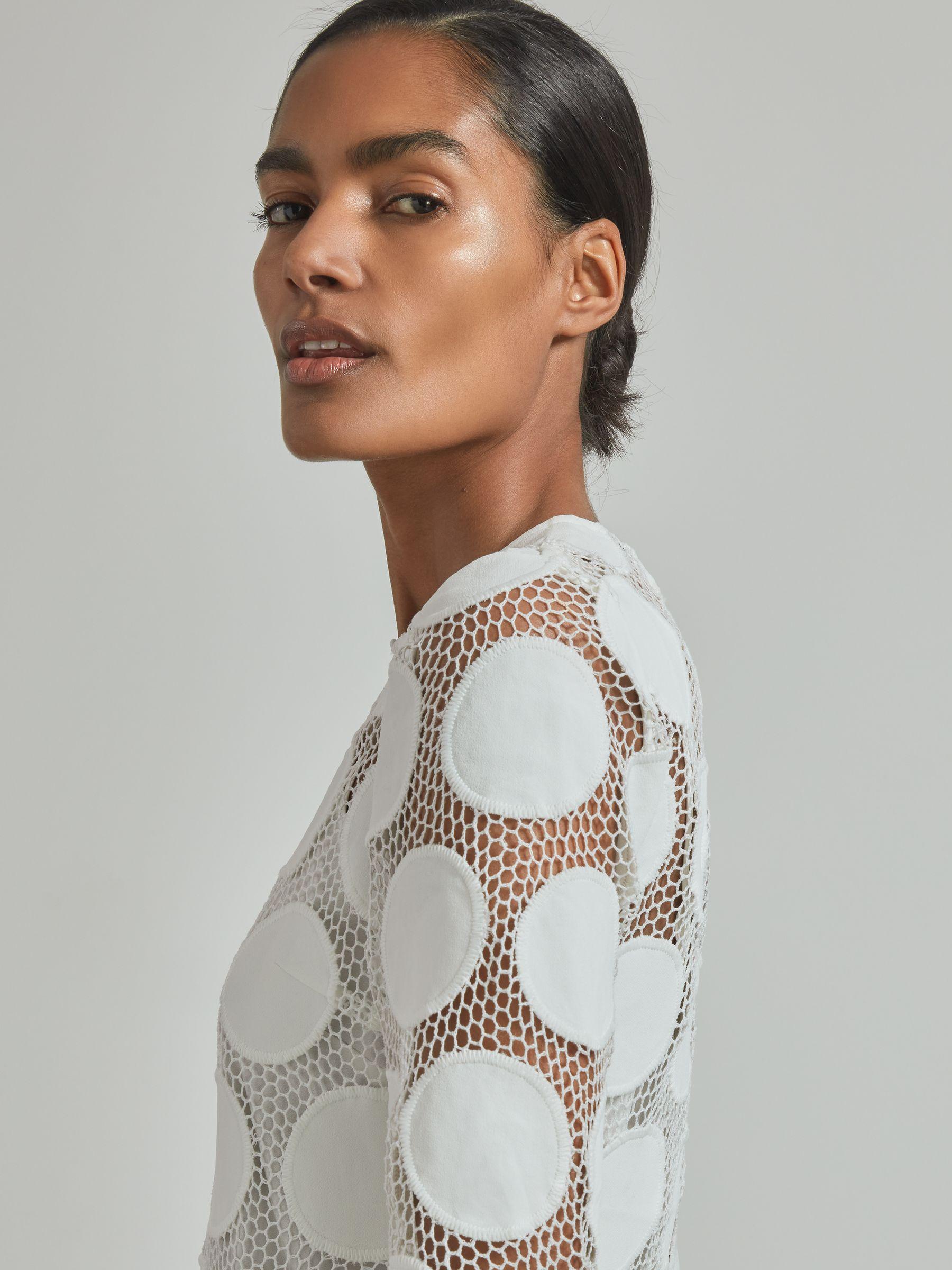 Atelier Sheer Embroidered Mini Dress in Ivory Product Image