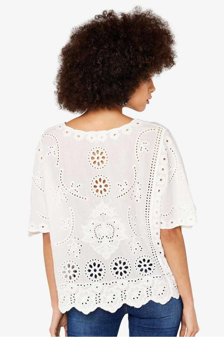Lace Panel Embroidered Top Product Image