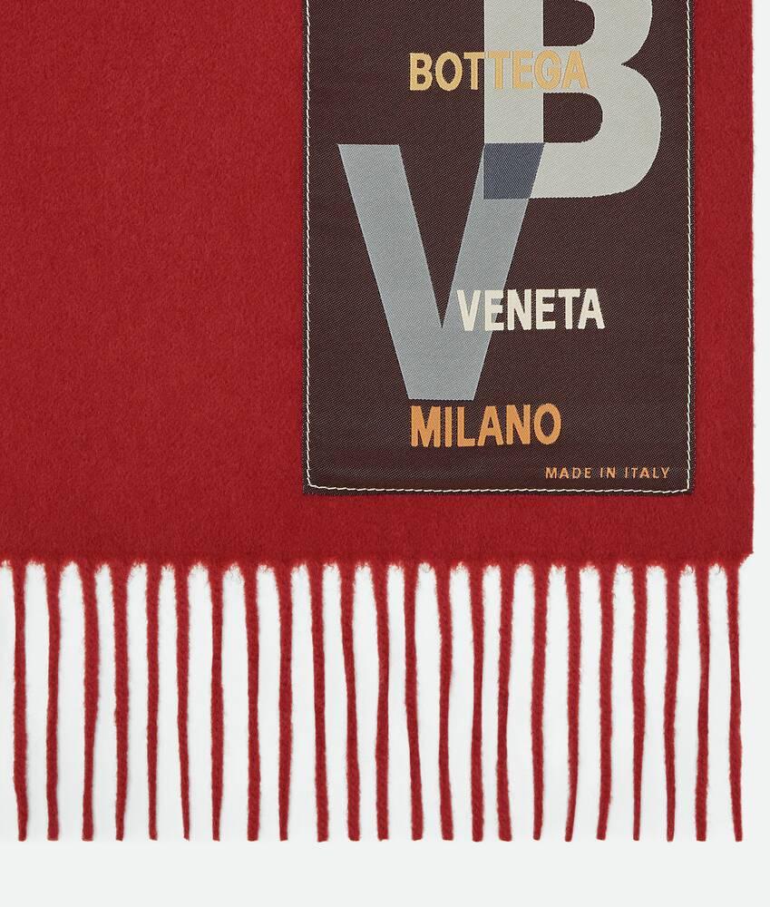 Women's Large Cashmere Scarf in Red stone Product Image