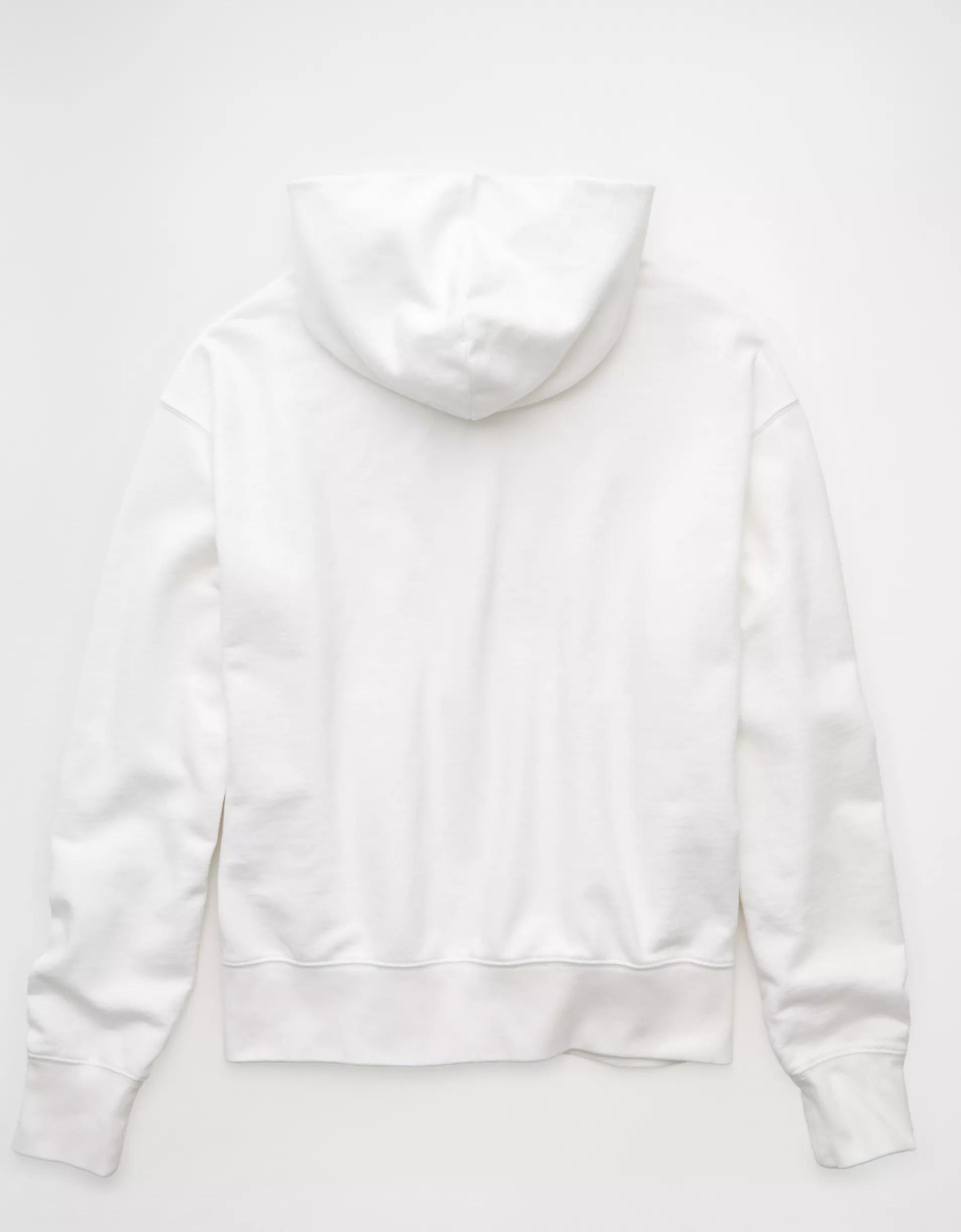 AE Destination Graphic Hoodie Product Image