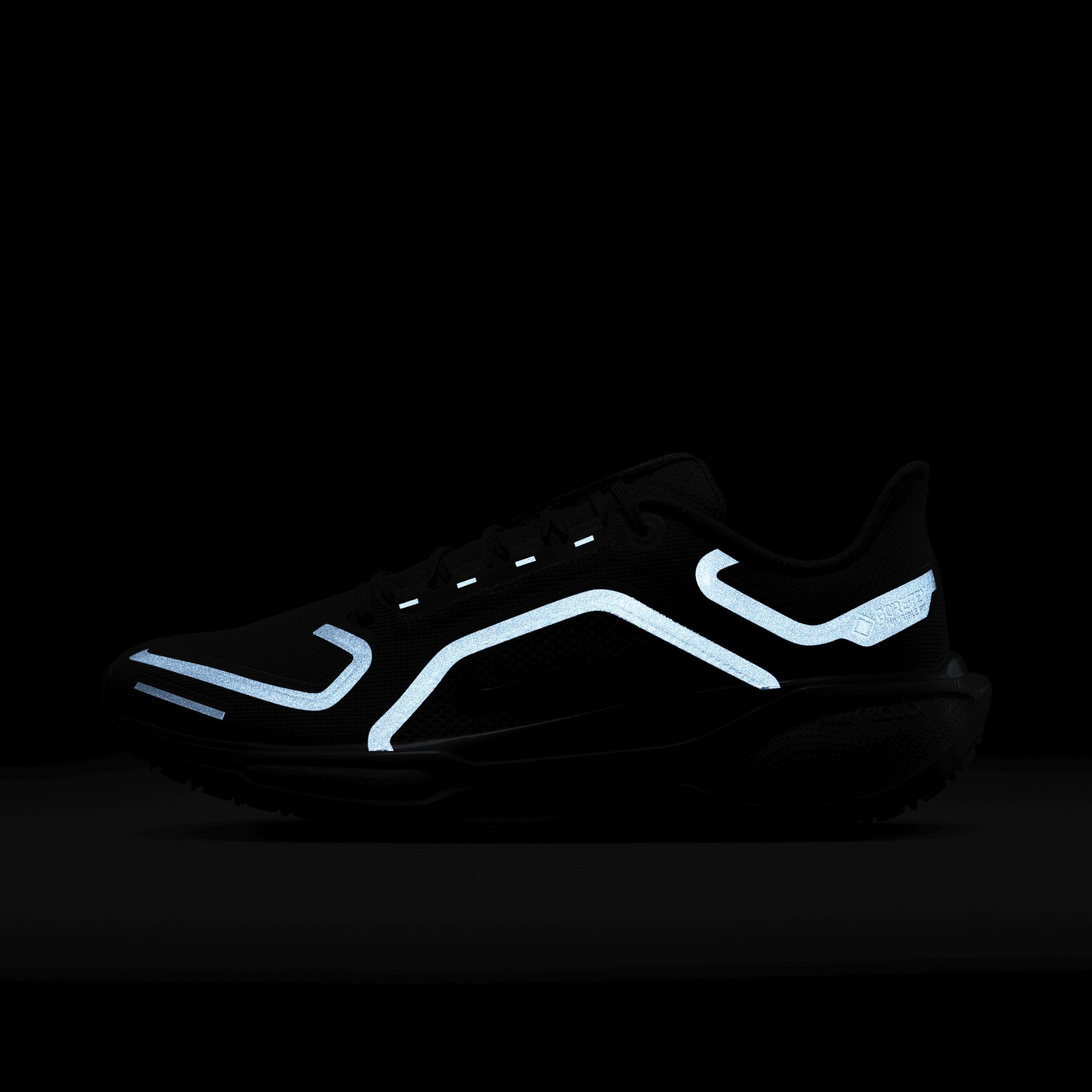 Nike Mens Pegasus 41 GORE-TEX Waterproof Road Running Shoes | FQ1356-001 Product Image