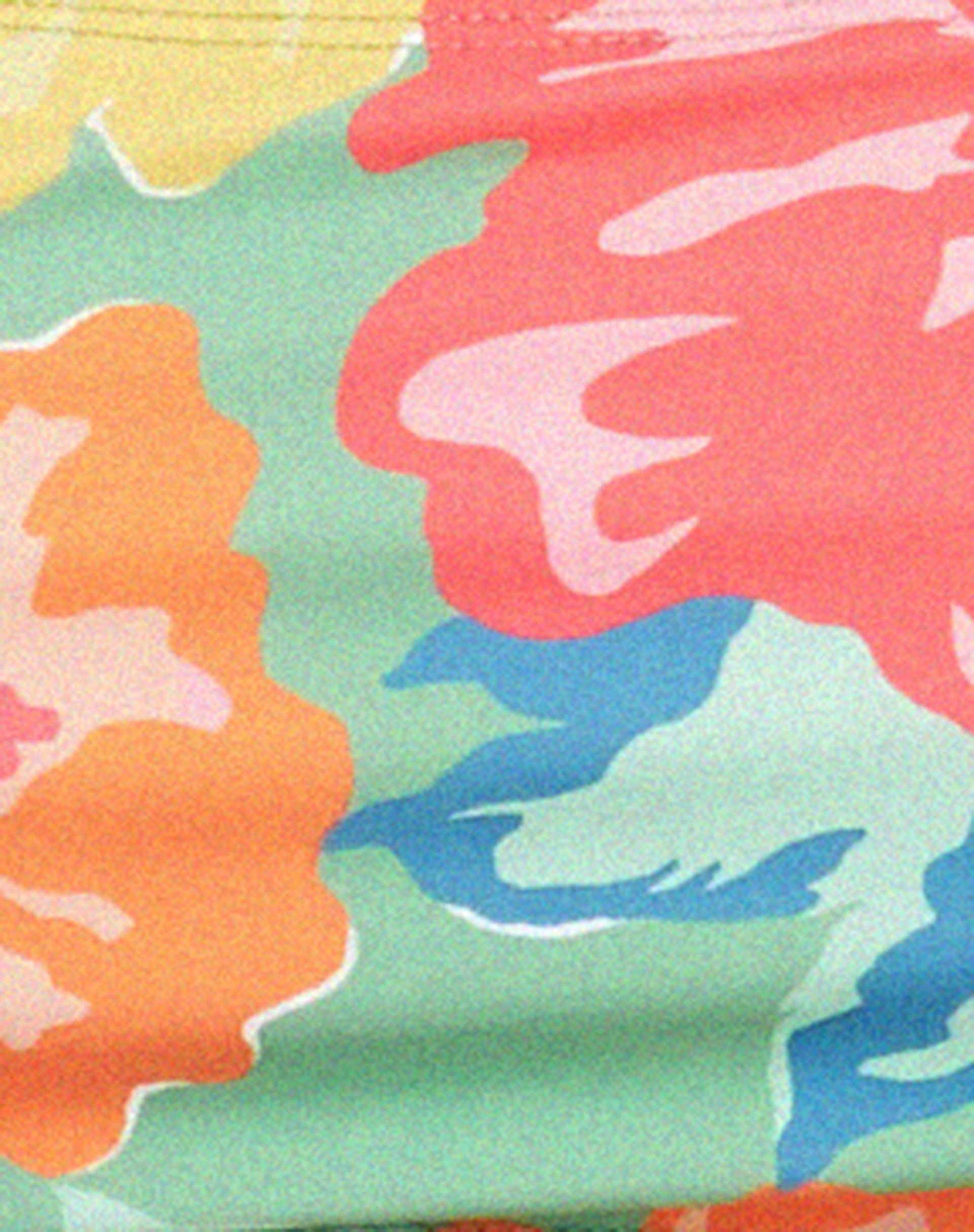 Reema Bikini Top in Tropicana Floral Product Image