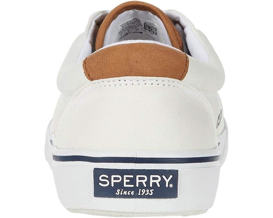 CVO Canvas Product Image