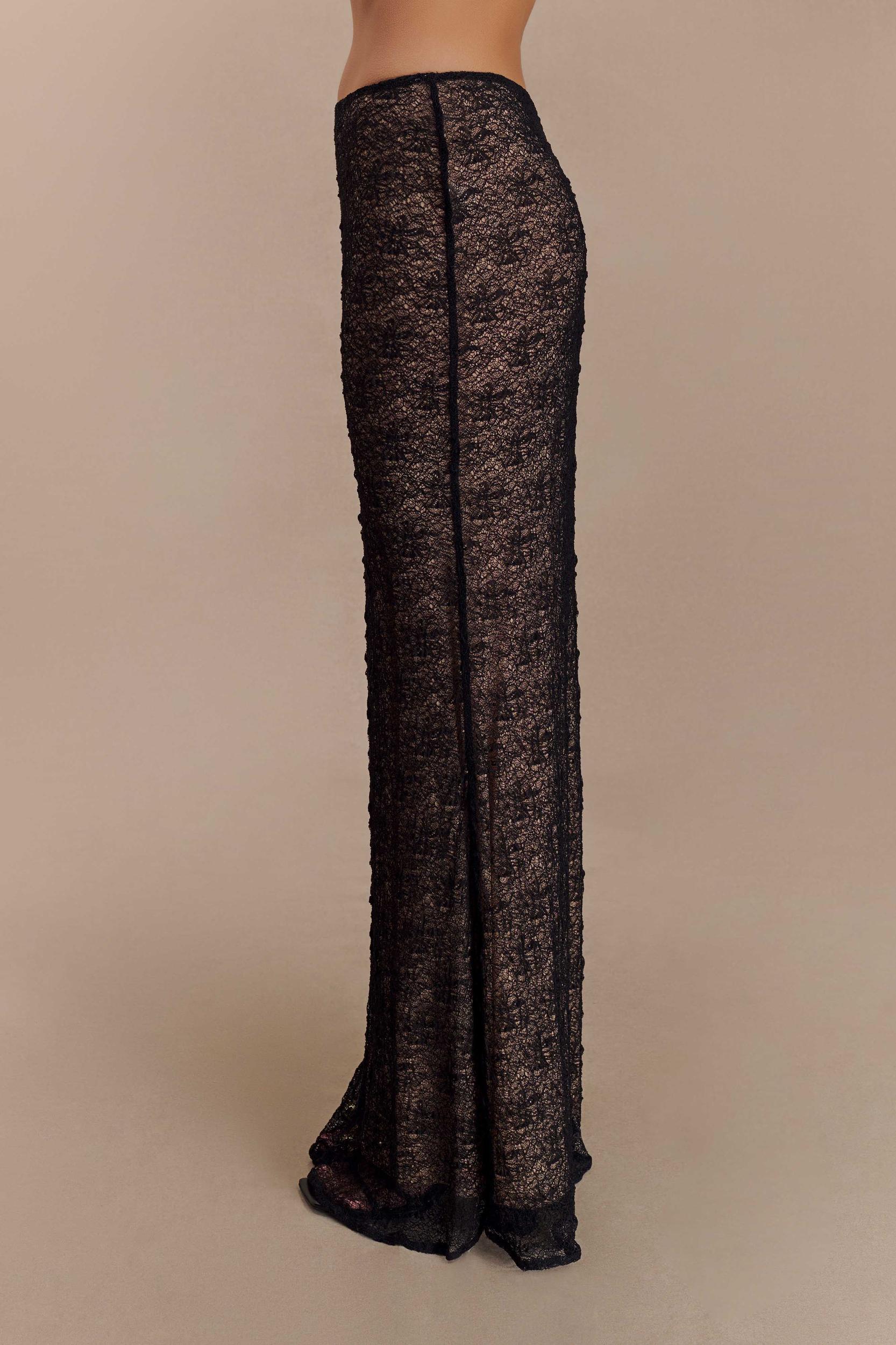 Robyn Sheer Lace Maxi Skirt - Black Product Image