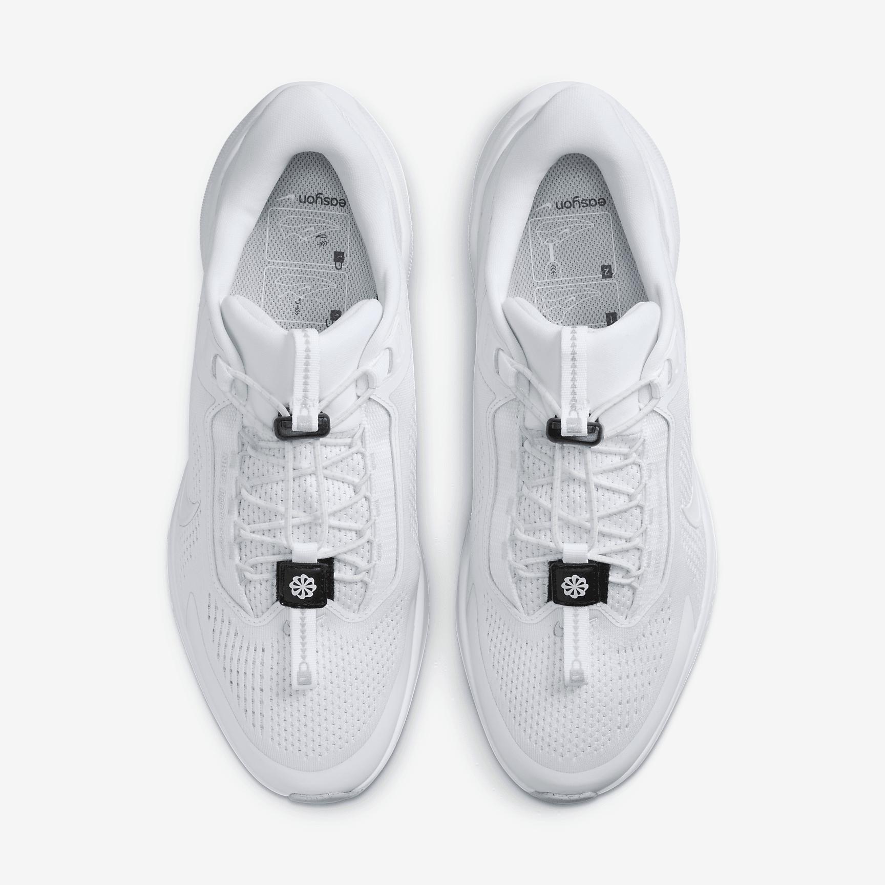 Nike Mens Pegasus EasyOn Road Running Shoes | FQ7837-101 Product Image