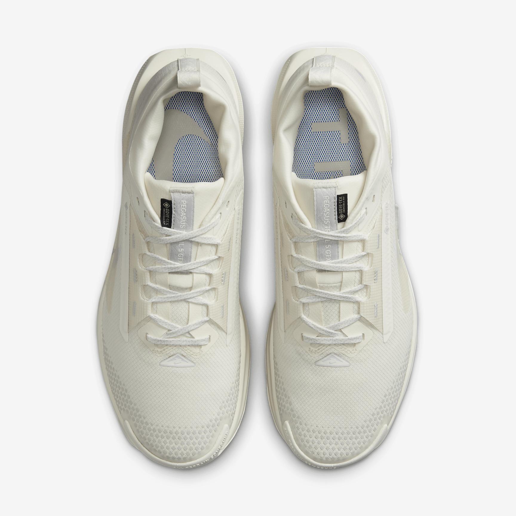 Nike Mens Pegasus Trail 5 GORE-TEX Waterproof Trail Running Shoes | FQ0908-101 Product Image