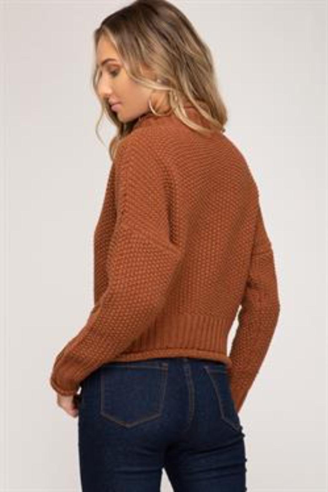 Chunky Turtleneck Sweater Product Image