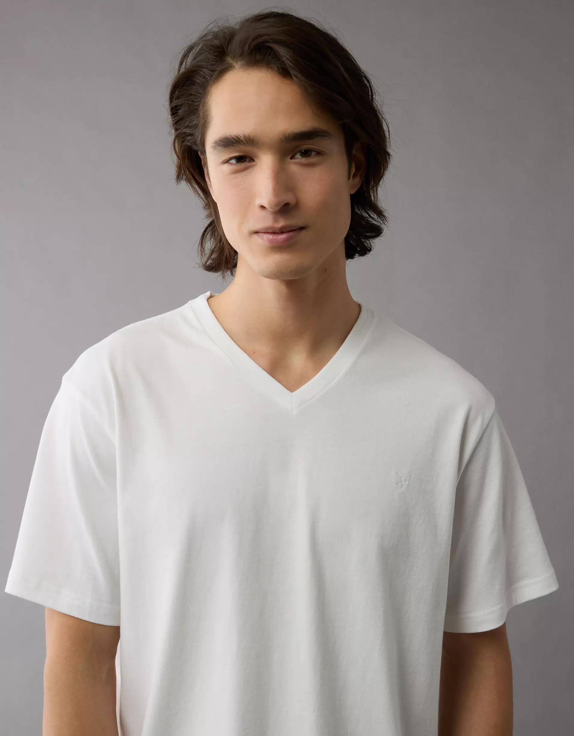 AE Lived-In V-Neck T-Shirt Product Image