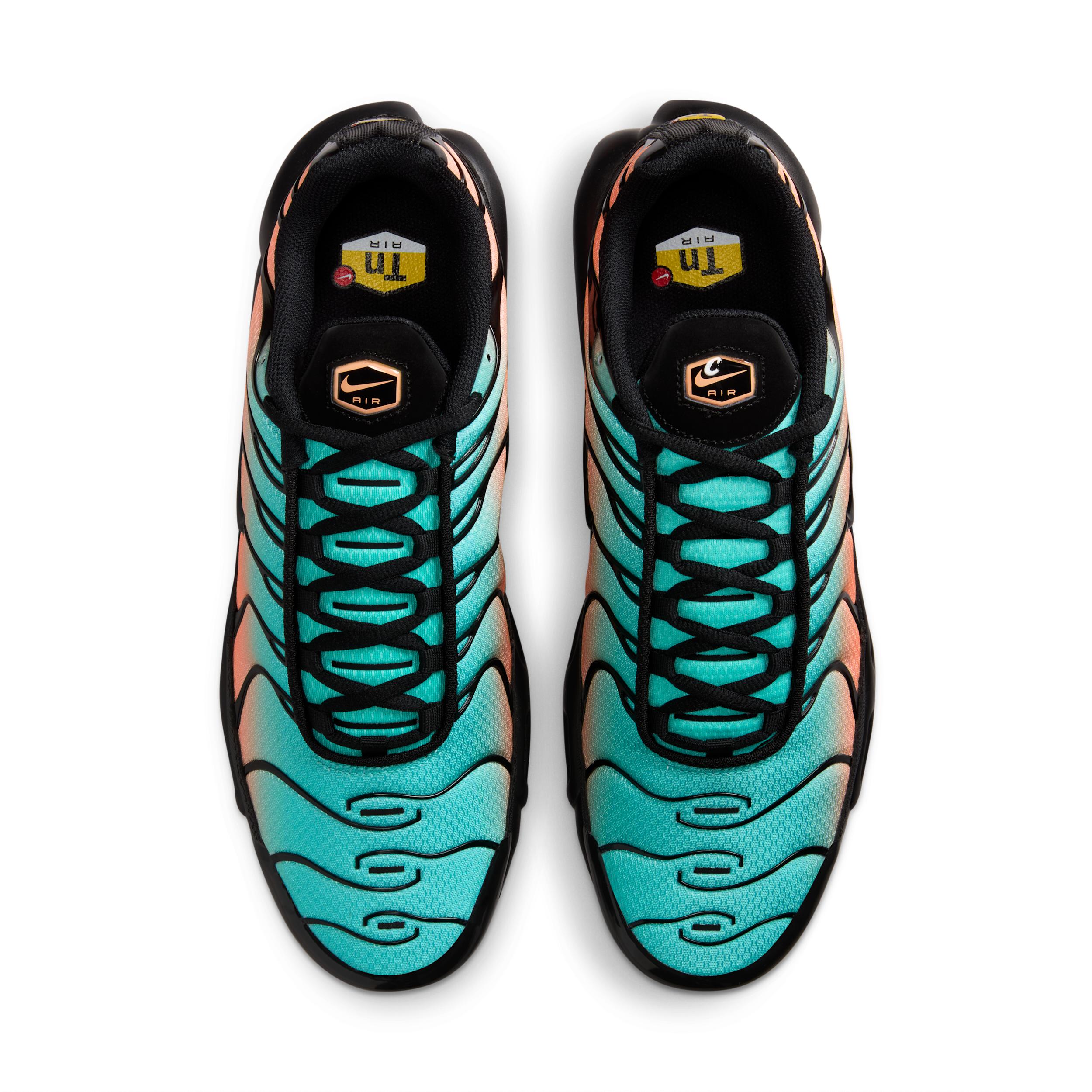 Nike Mens Air Max Plus Shoes | DM0032-701 Product Image