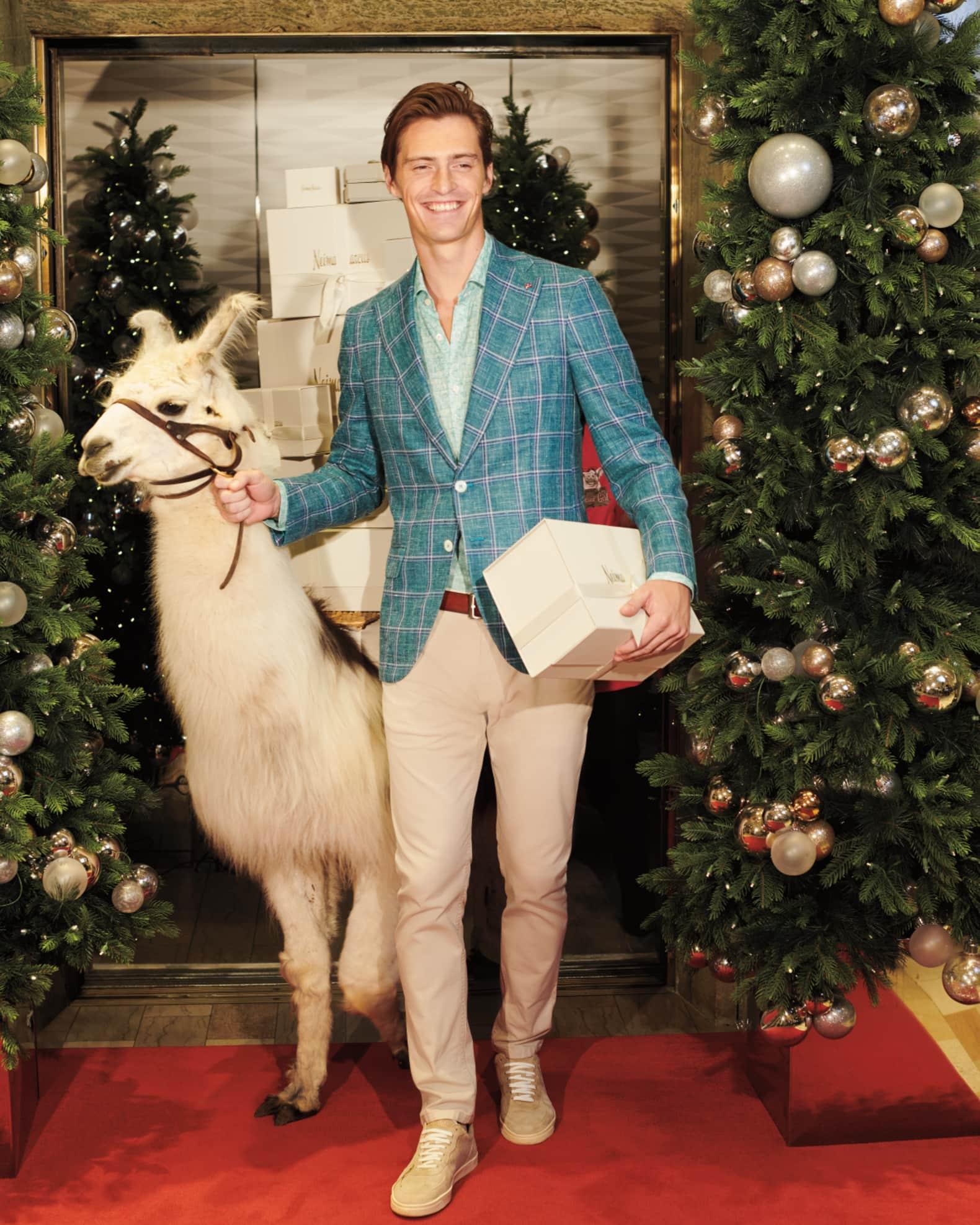 Men's Windowpane Wool-Blend Sport Coat Product Image